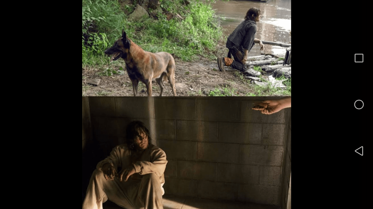 Shower thought Daryl has eating more Dog food than Dog. r