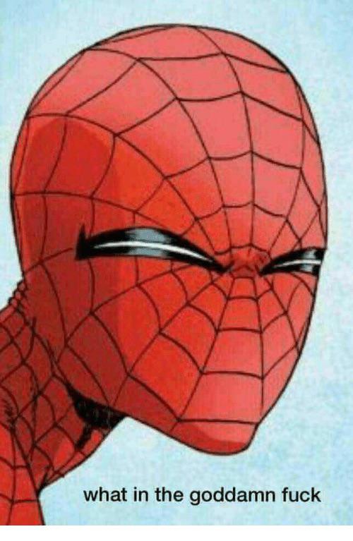 When I lose my glasses another freaking time r/meme