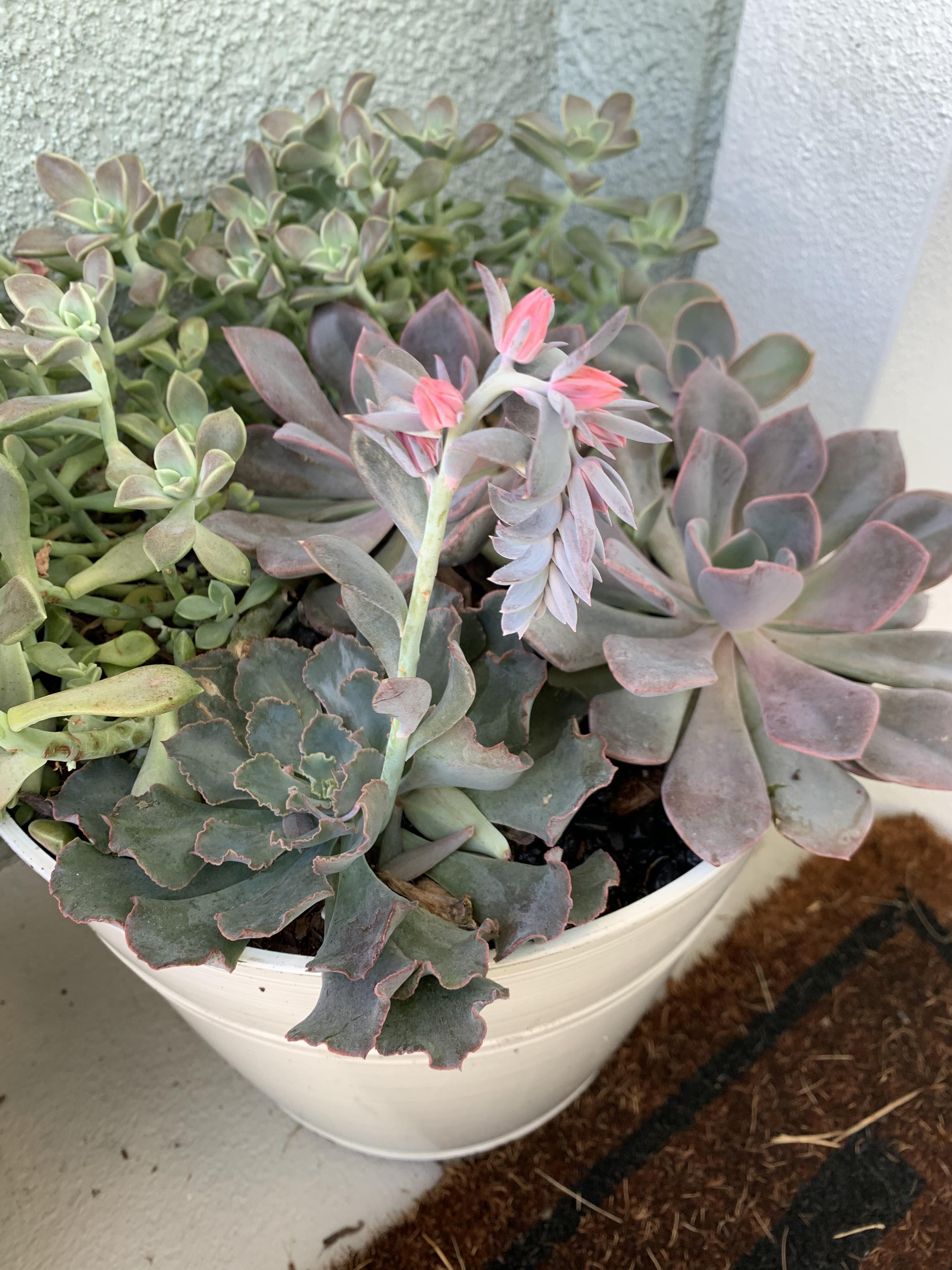 Hey there! I just joined in hopes of stepping up my