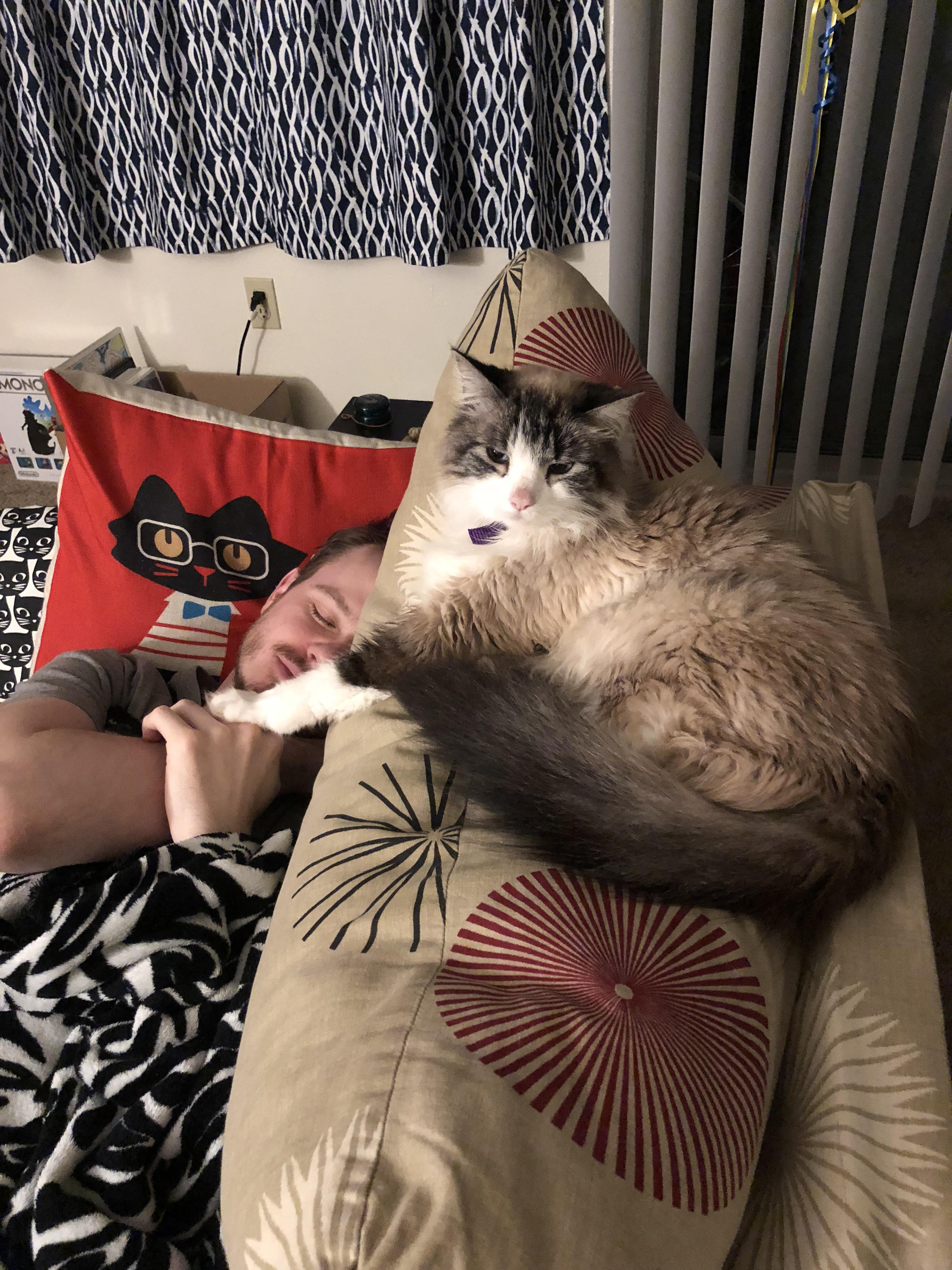 My cat is trying to steal my boyfriend r/aww