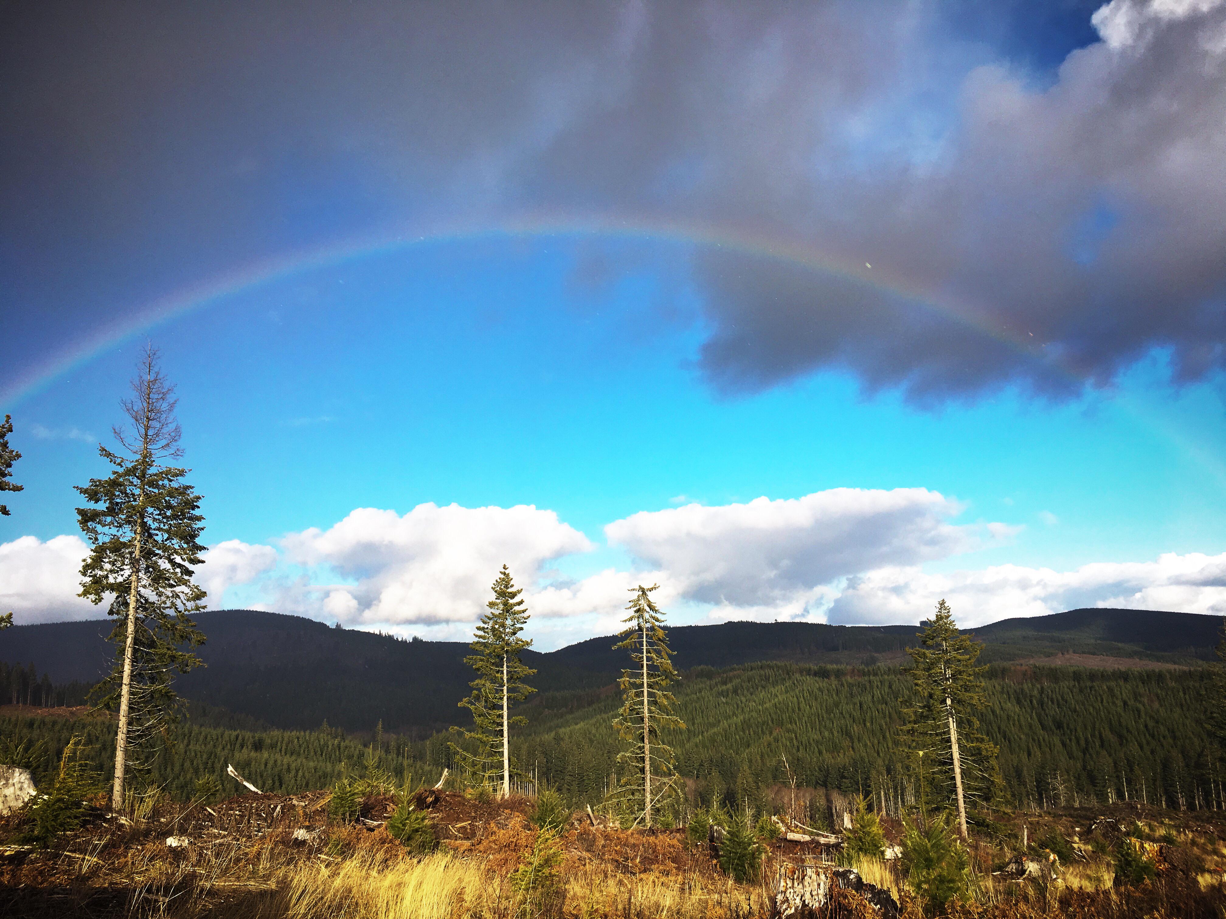 Jewell, Oregon r/MostBeautiful