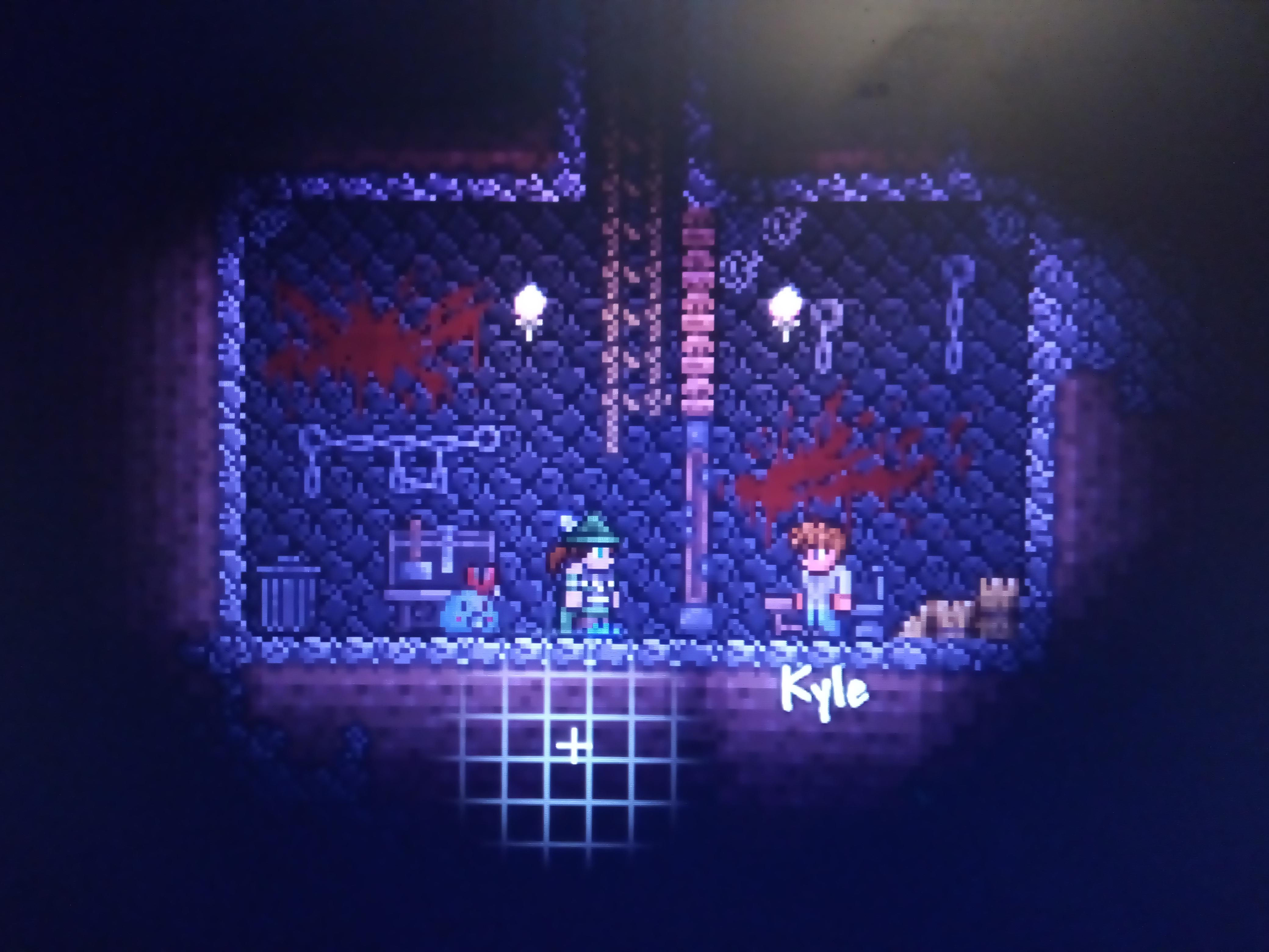 My room for the guide 😁 r/Terraria