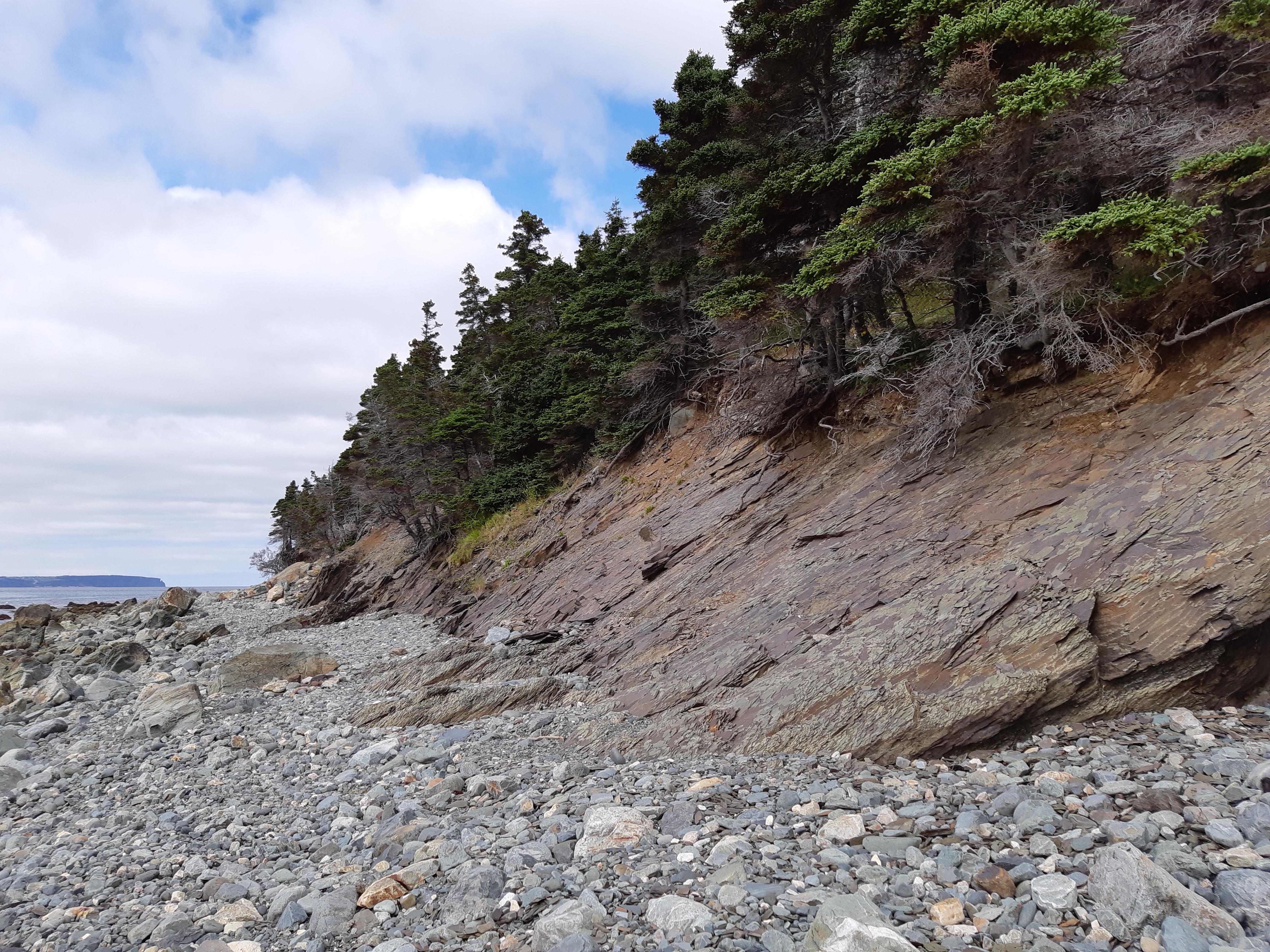 Found some amazing shale outcrops in Newfoundland r/geology