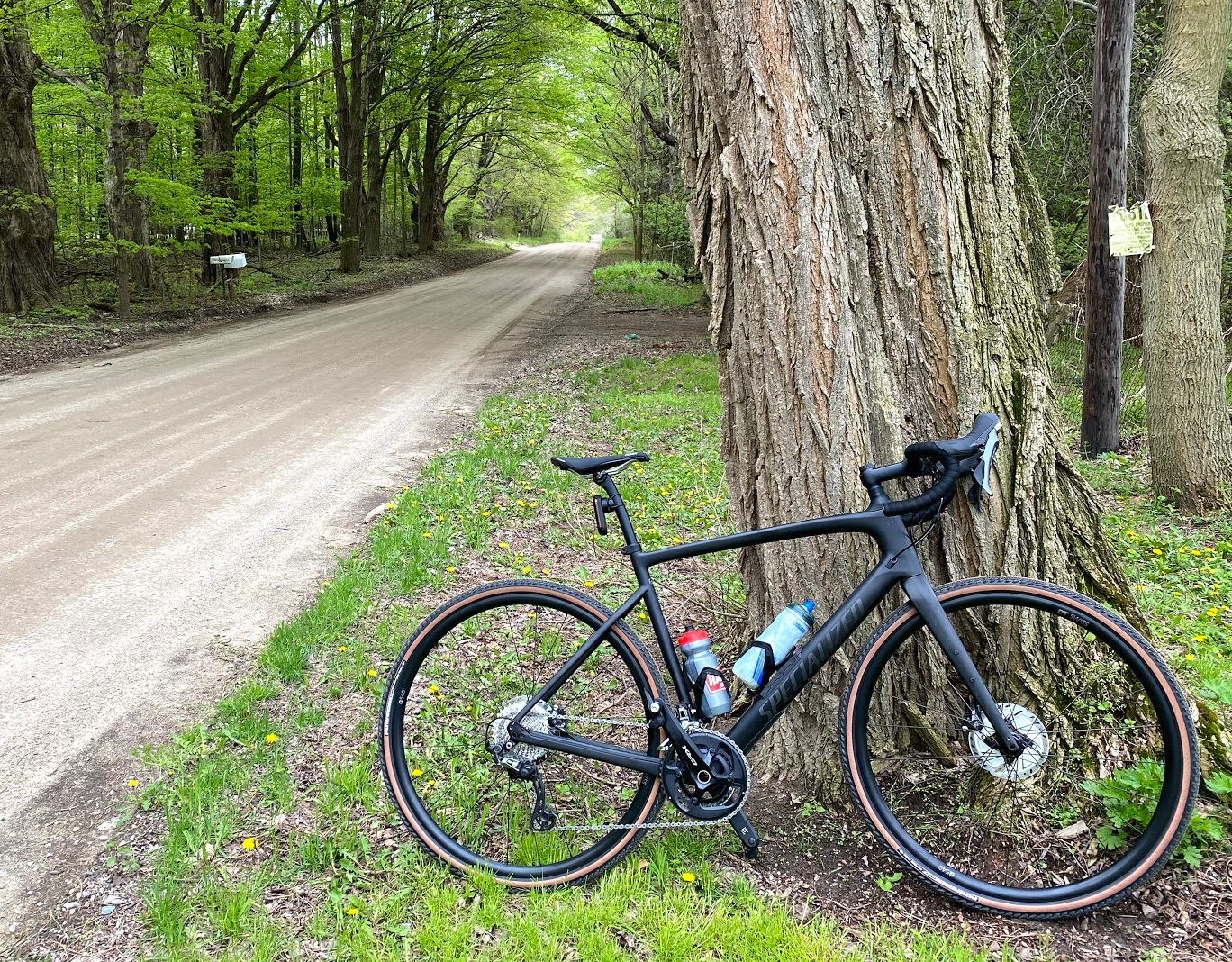 40 Mile ride on new Specialized Diverge Comp Carbon So Good! r