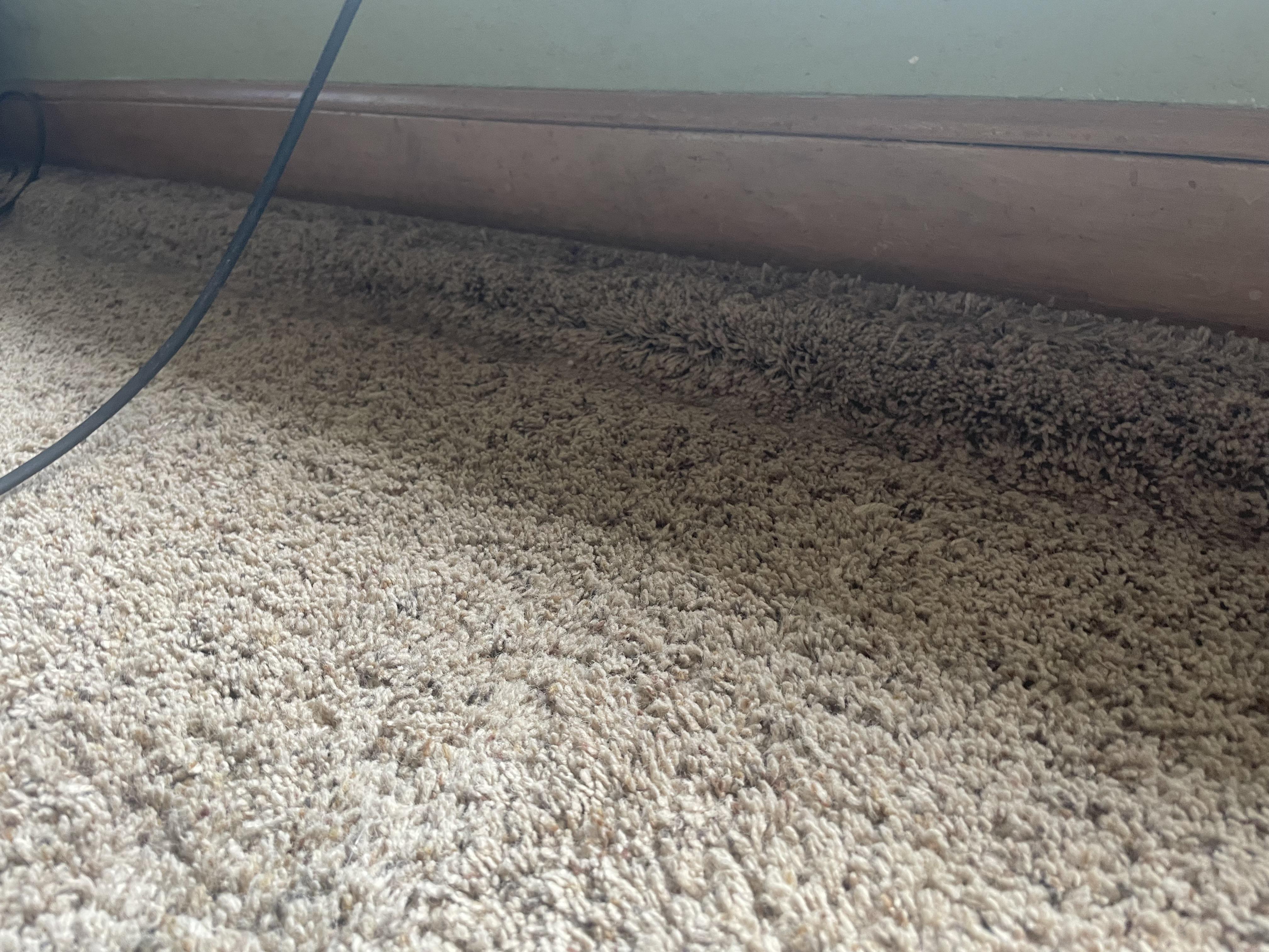 Have you seen this before? Runs along outside walls… how would I do
