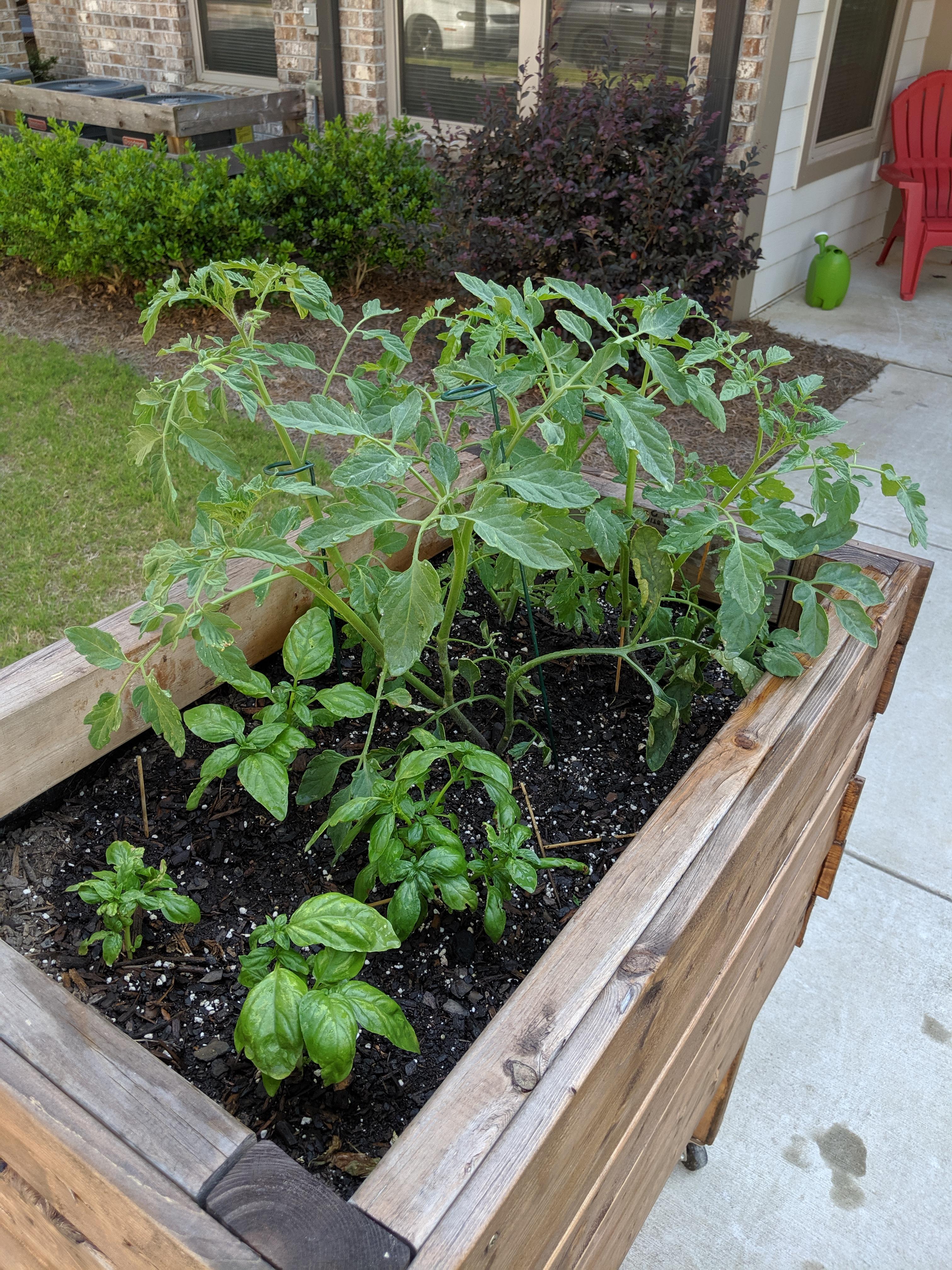 I just got a pax3 and I love it already. I'm so high. Plant tax. r/entwives