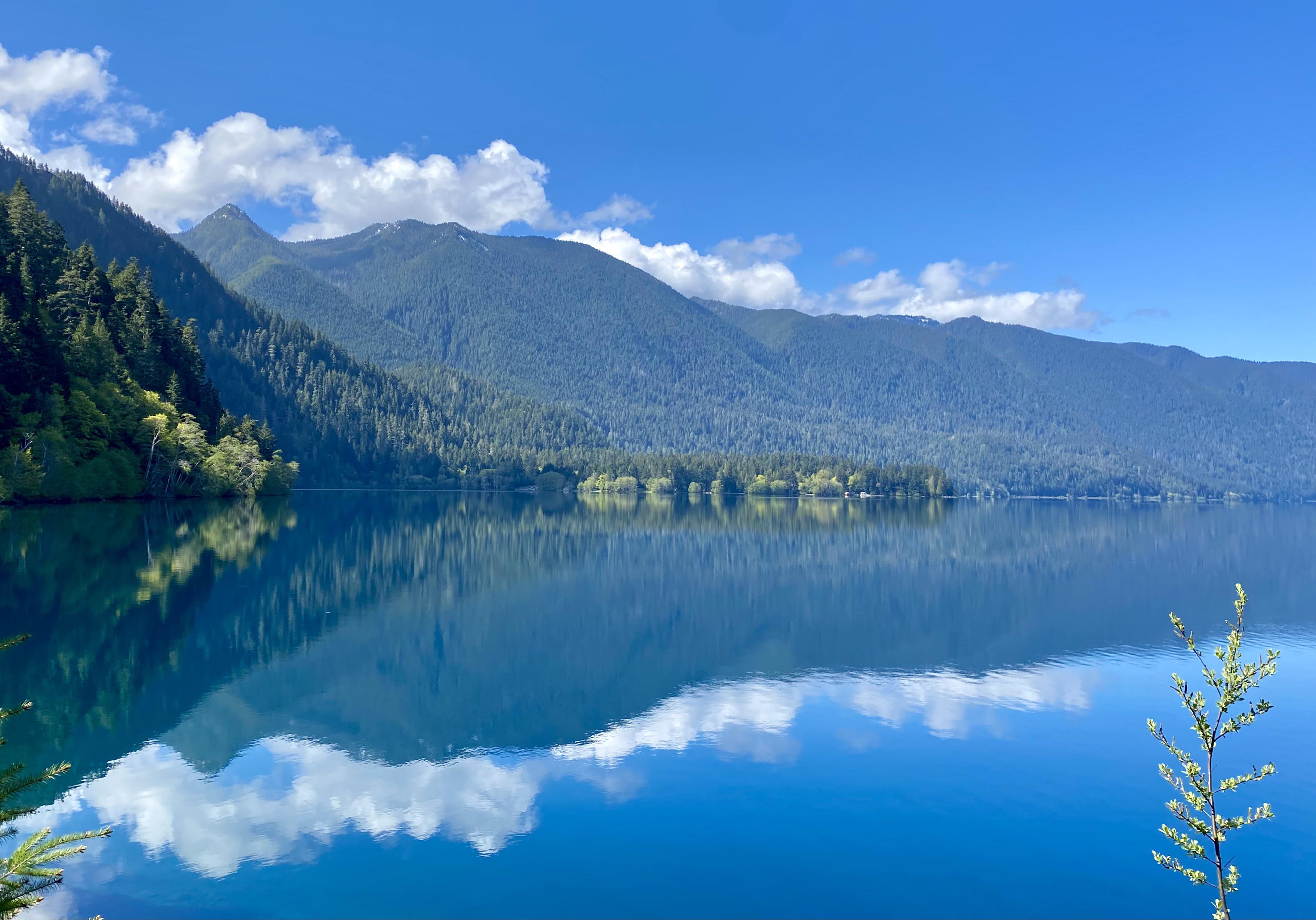 Lake Crescent on the Olympic Peninsula, WA [OC] 1200x1300 EarthPorn