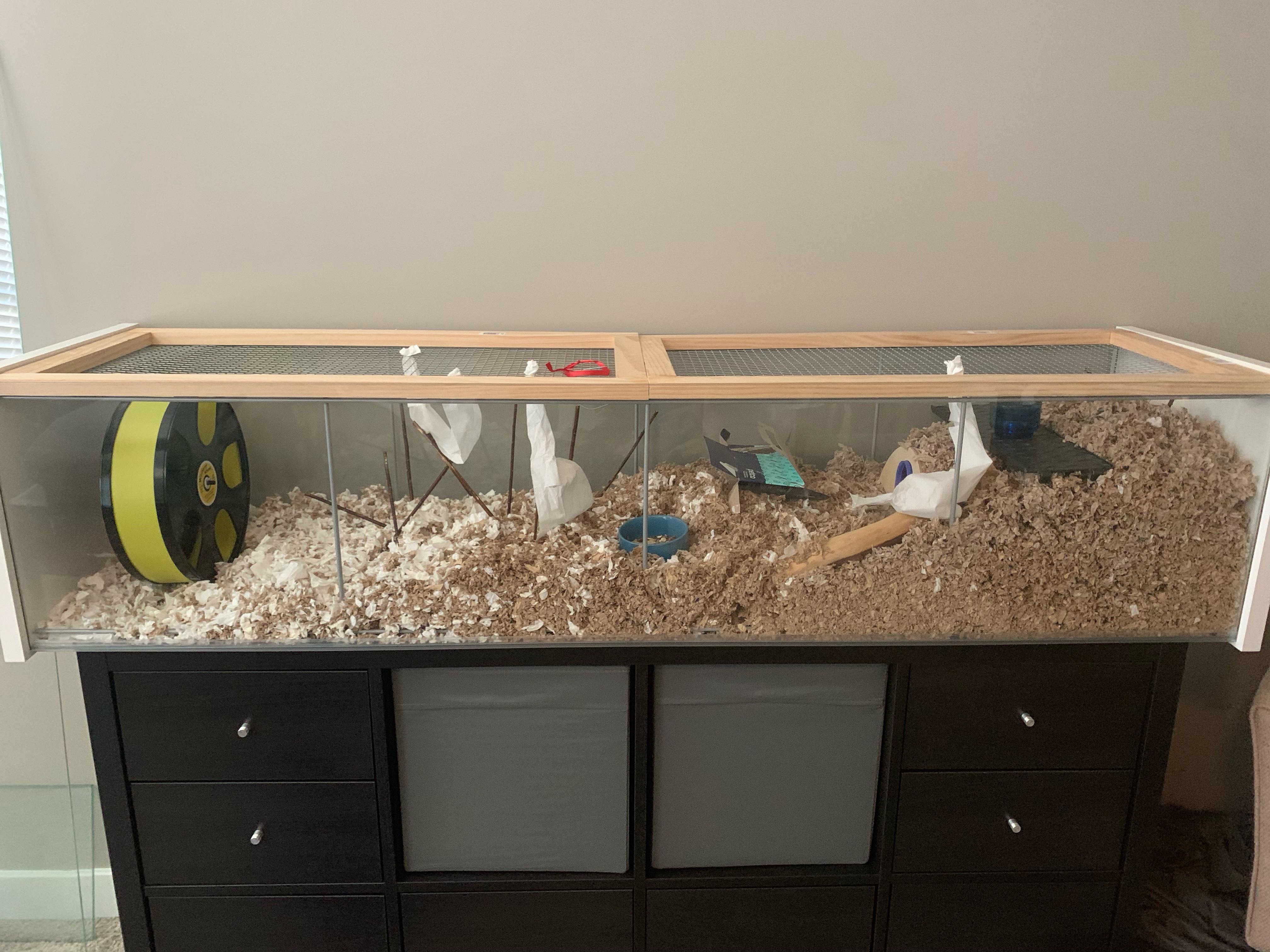 IKEA Detolf Hamster SetUp V.2 r/hamsters