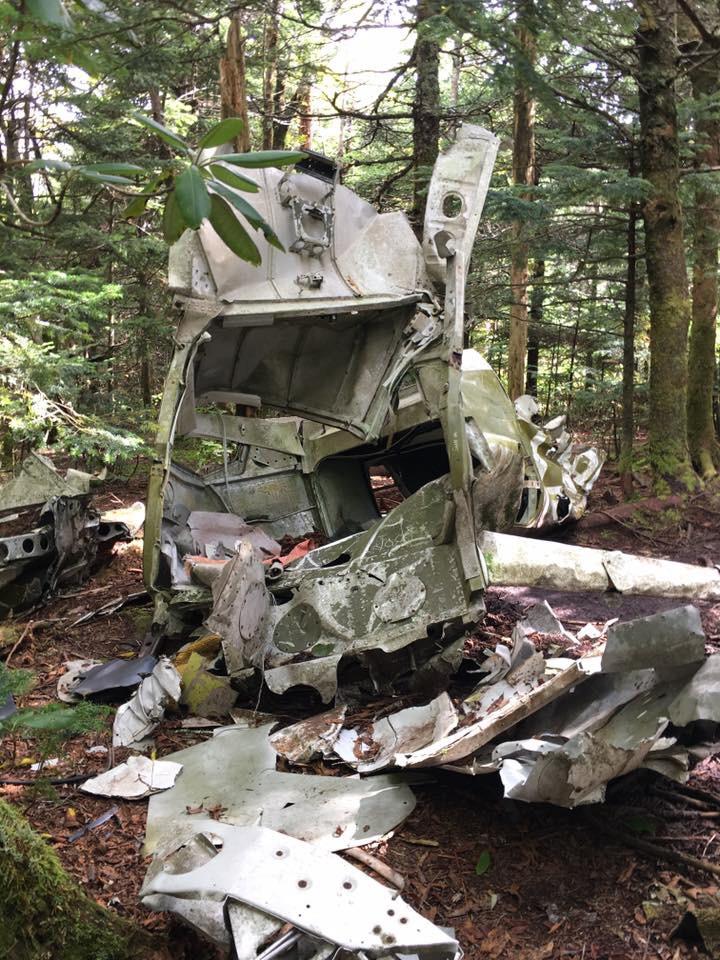 Plane wreck I hiked to on Grandfather Mountain NC r/hiking