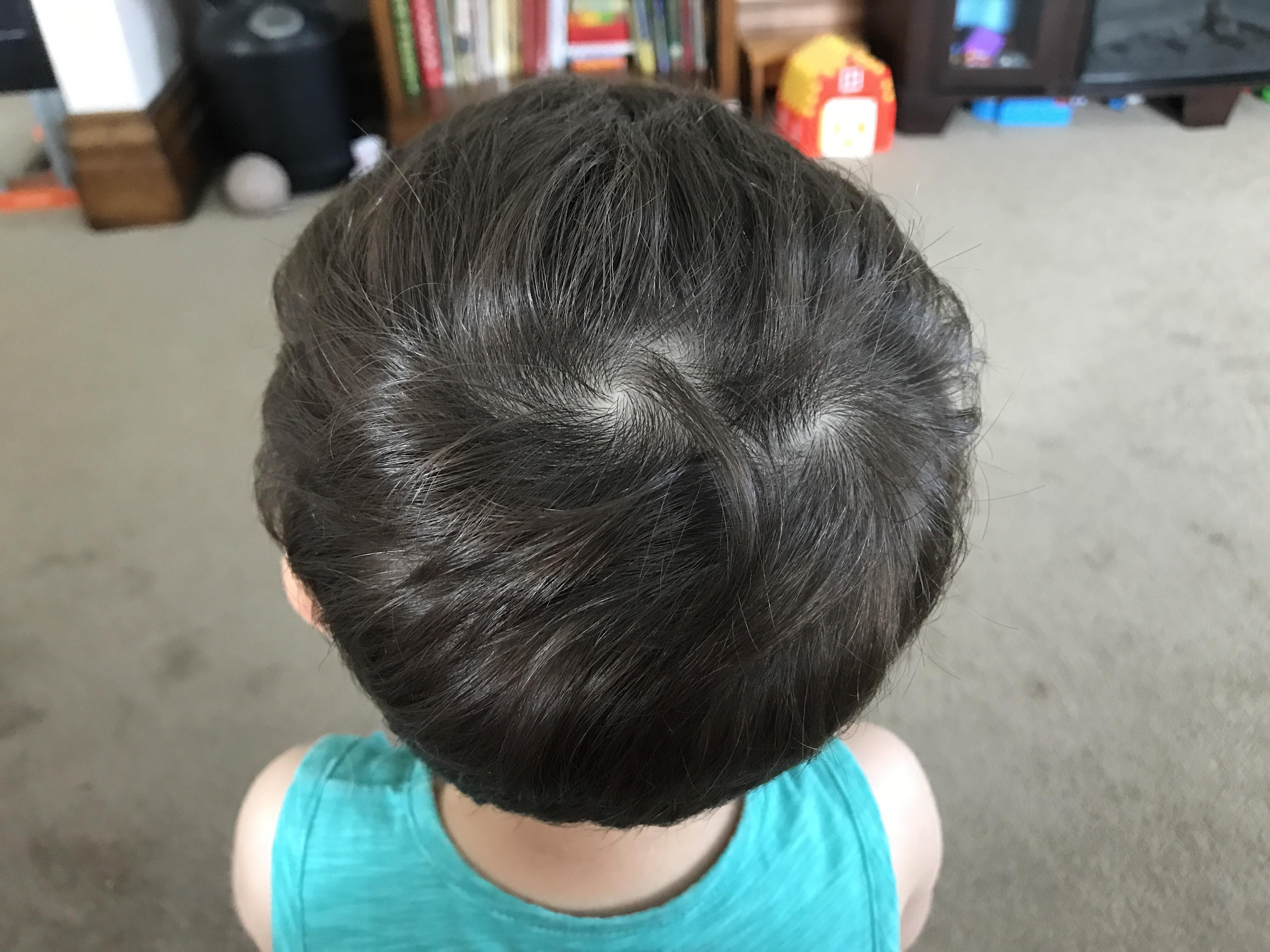 画像をダウンロード w h o r l s 334685W h o r l s meaning in hindi