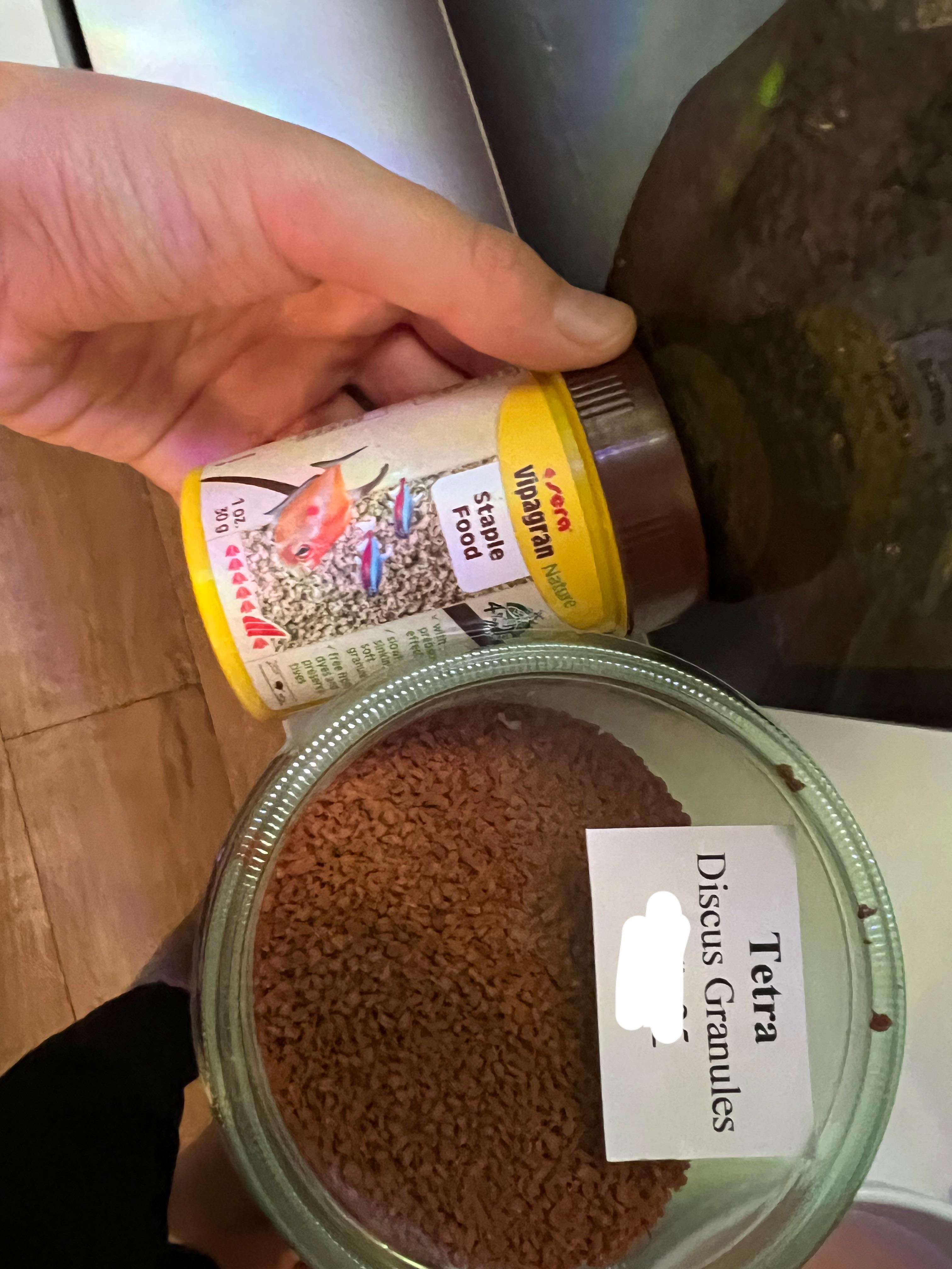 Which food is better for my Pygmy rasboras r/Boraras