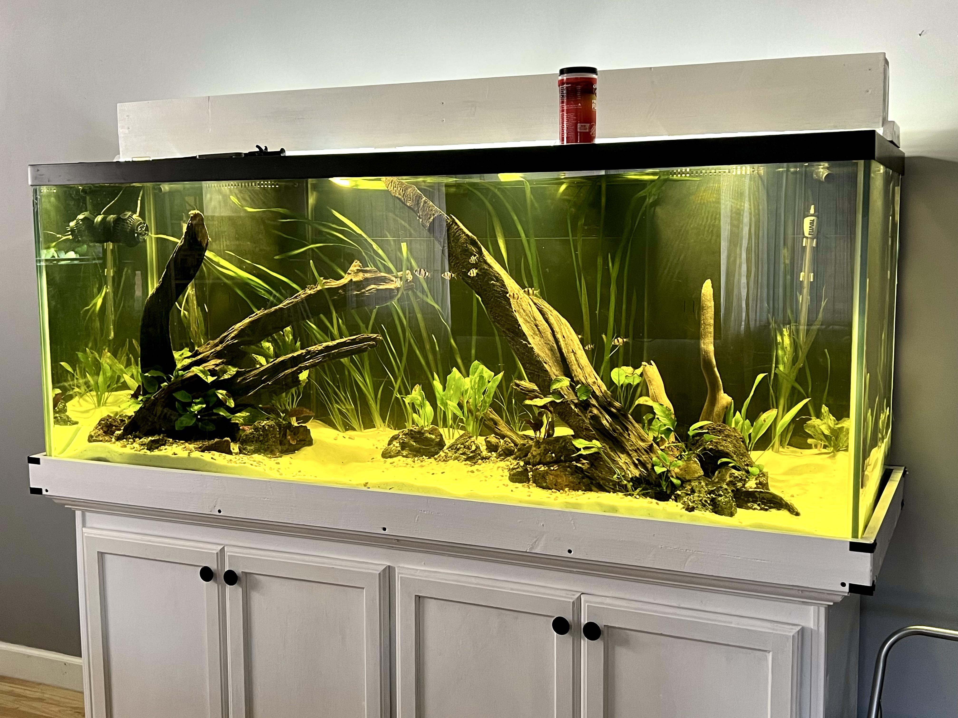 Attack of the tannins! Also got about half the plants in this weekend