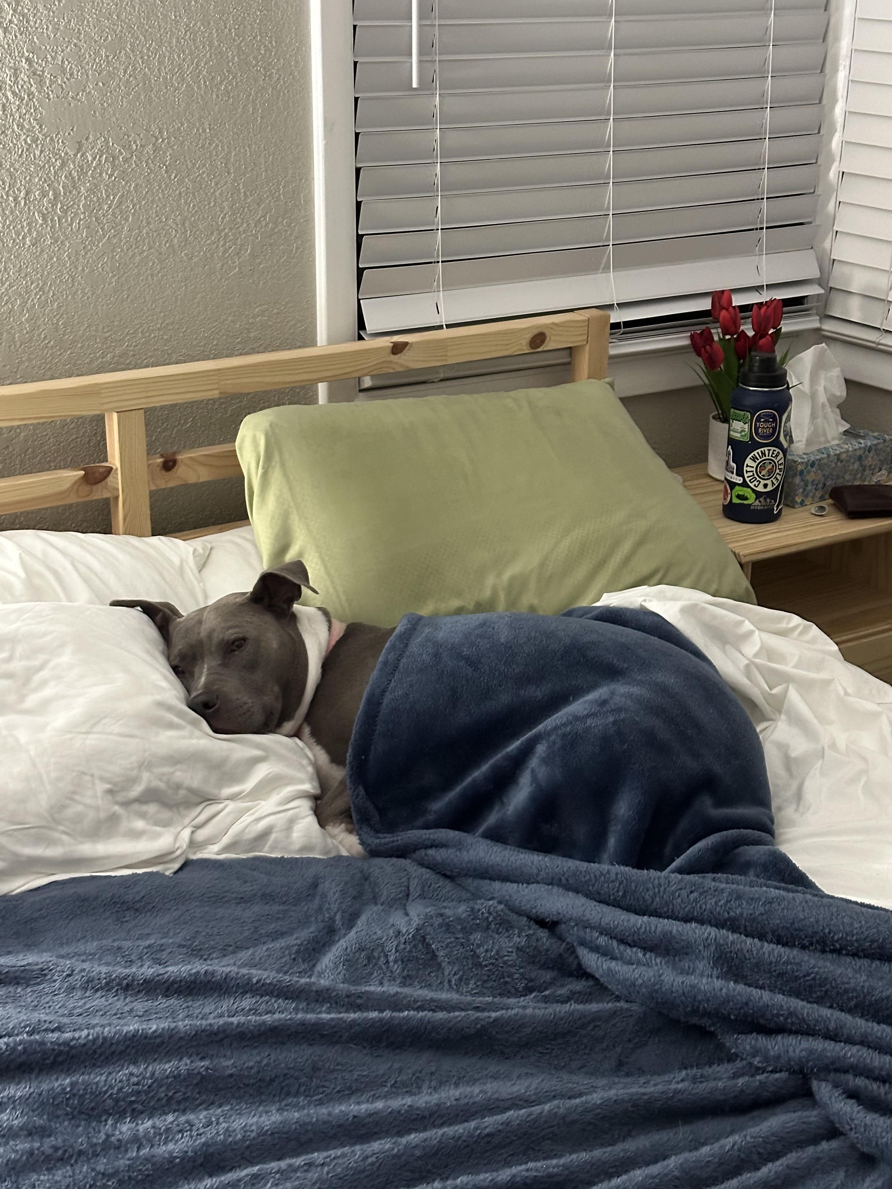 Best Homeowners Insurance Posts Reddit