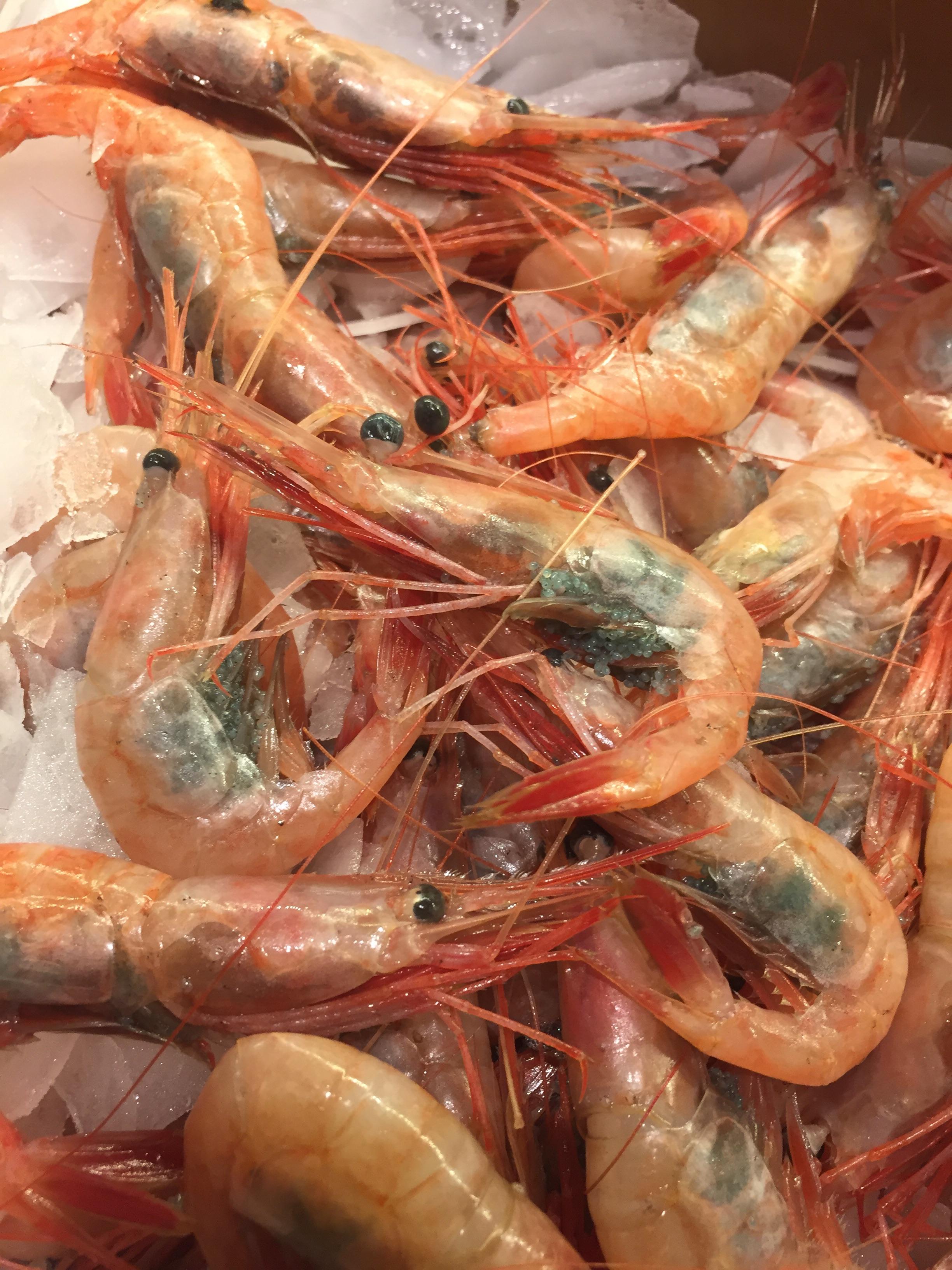 [OC] Sweet Maine Shrimp [1334x750] r/FoodPorn