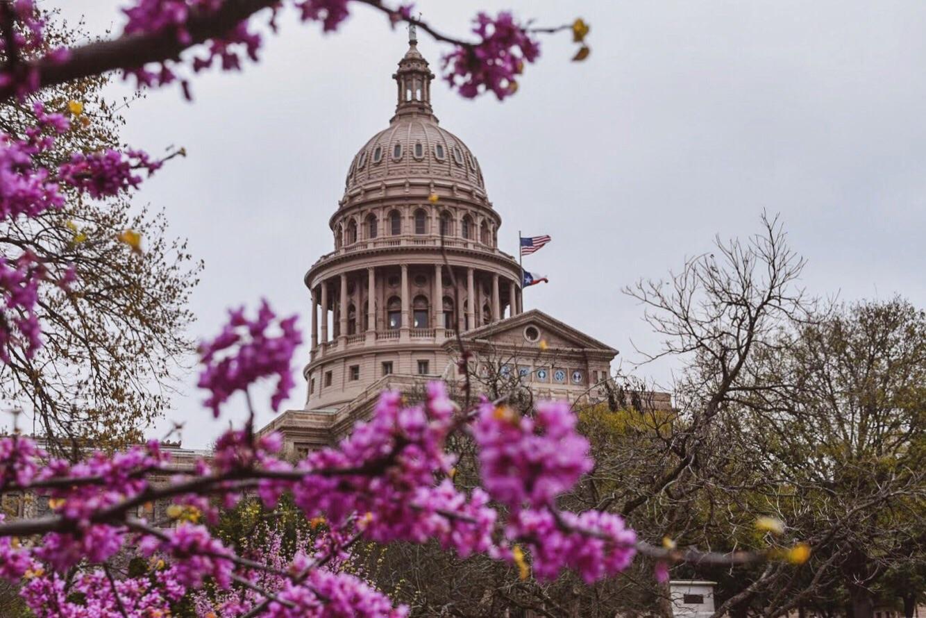 The beautiful Texas State Capitol, taken this week. r/texas