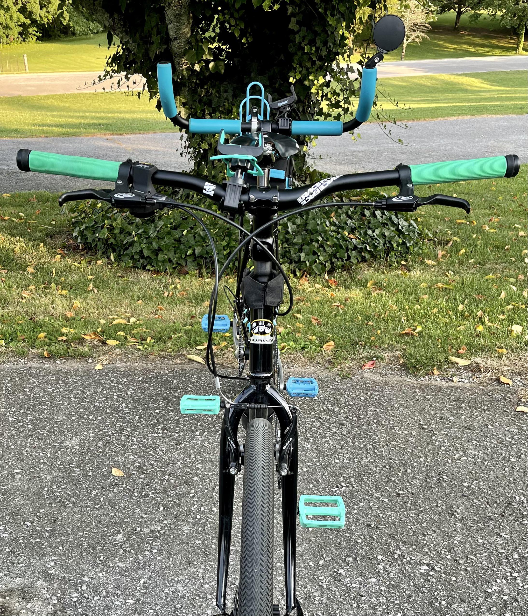 1995 Burley Samba Tandem #fef : r/xbiking