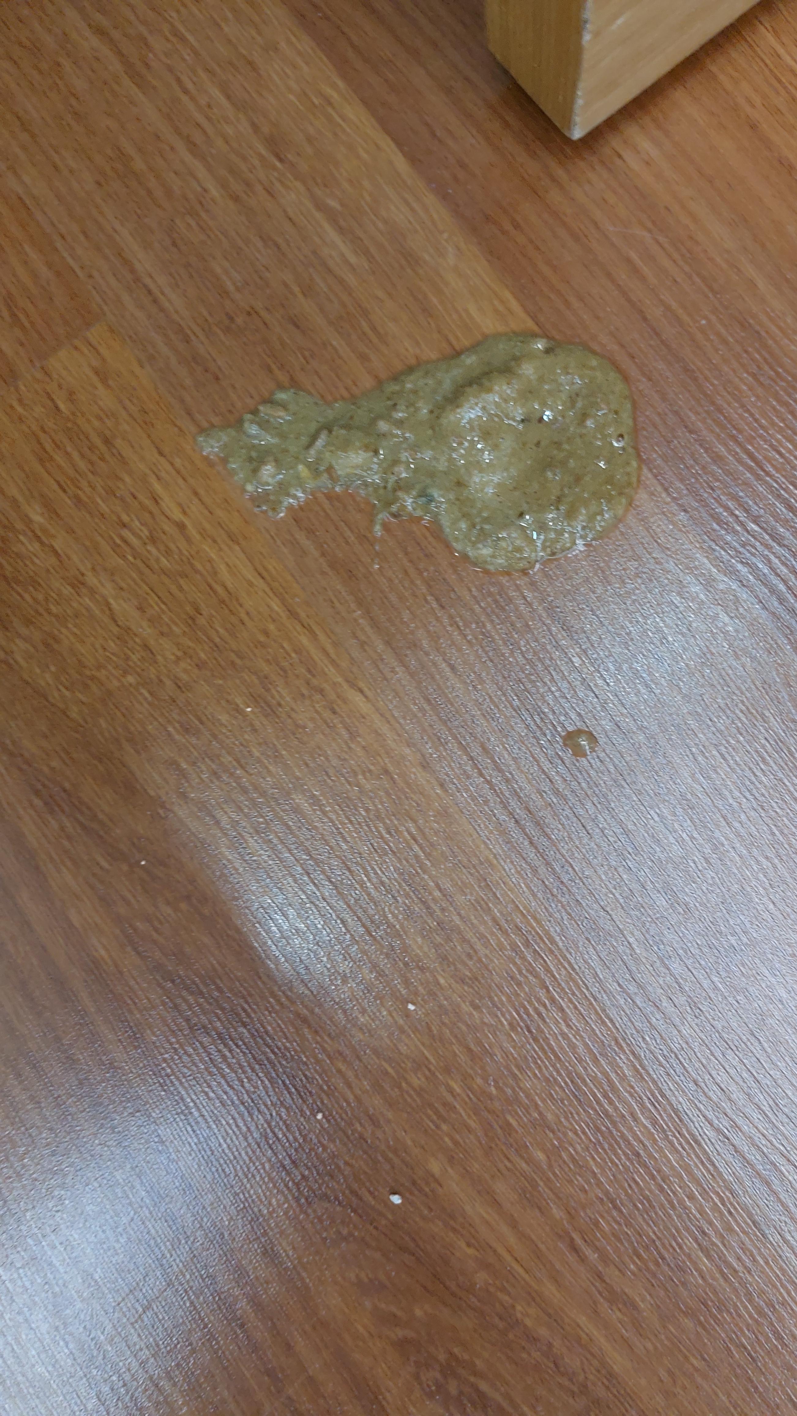 My cat has just vomited for the first time. There are 2 hours left