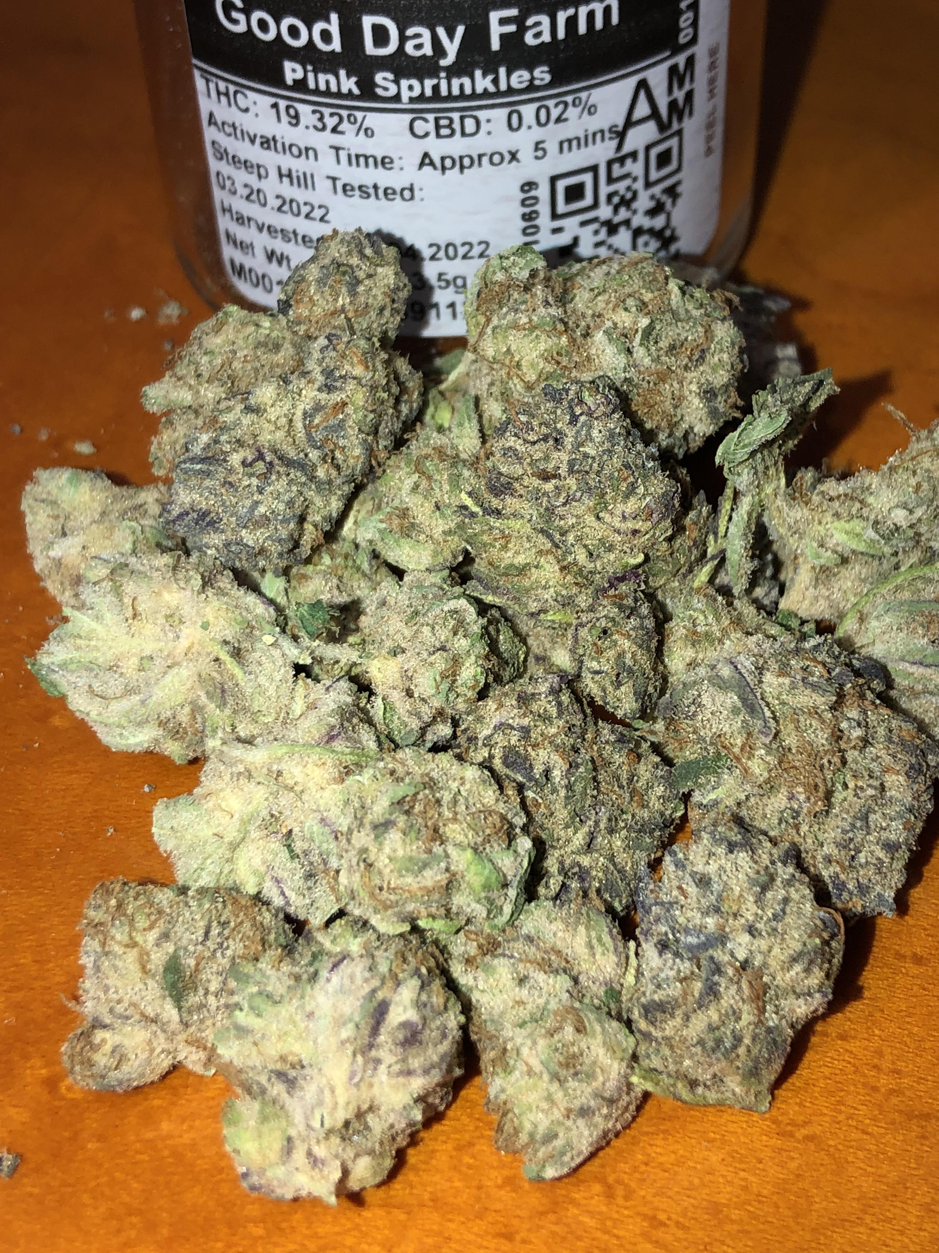 Pink Sprinkles from GDF r/armmj