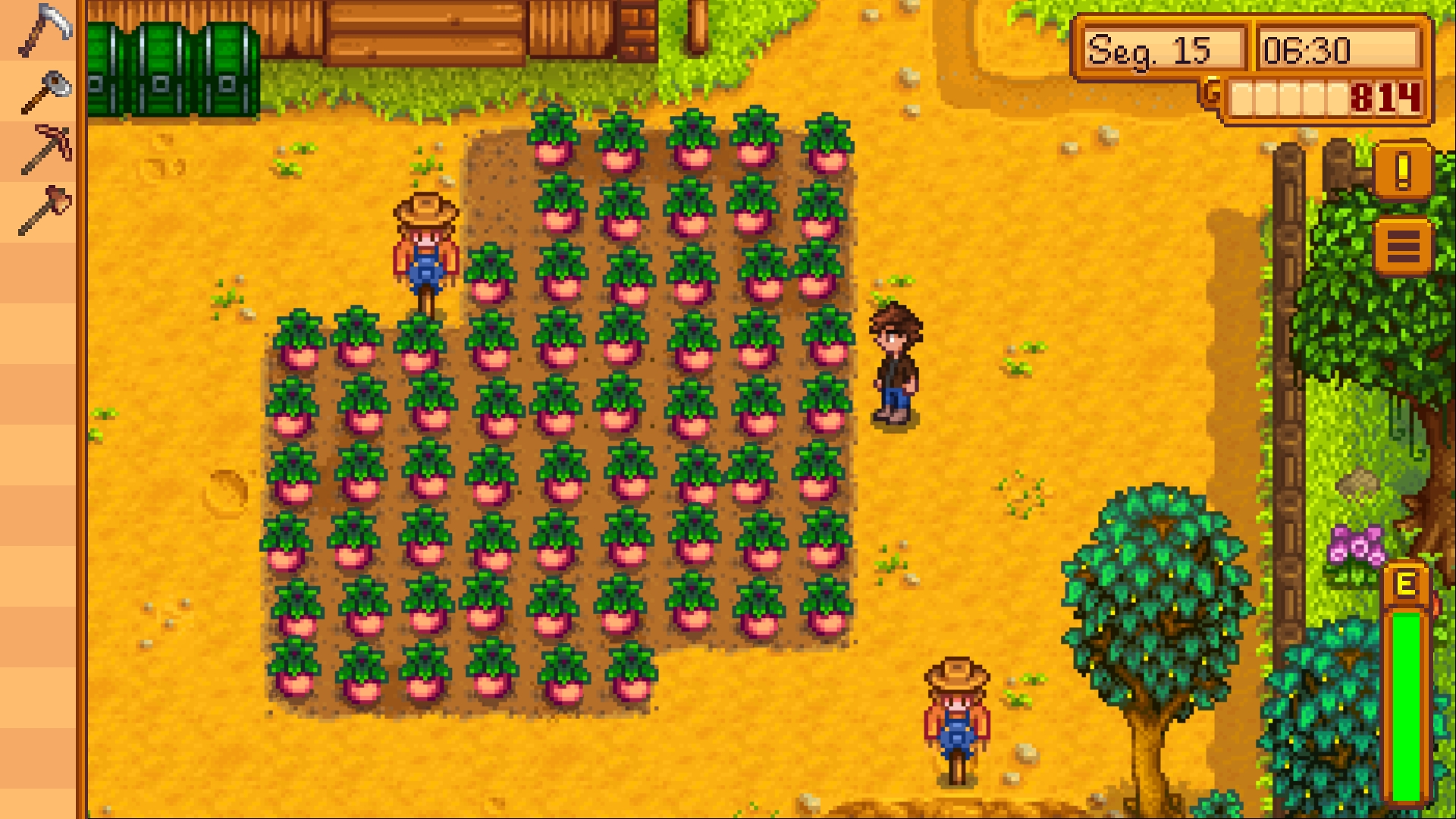 i'm having a problem, i can't harvest the melons i planted, what am i