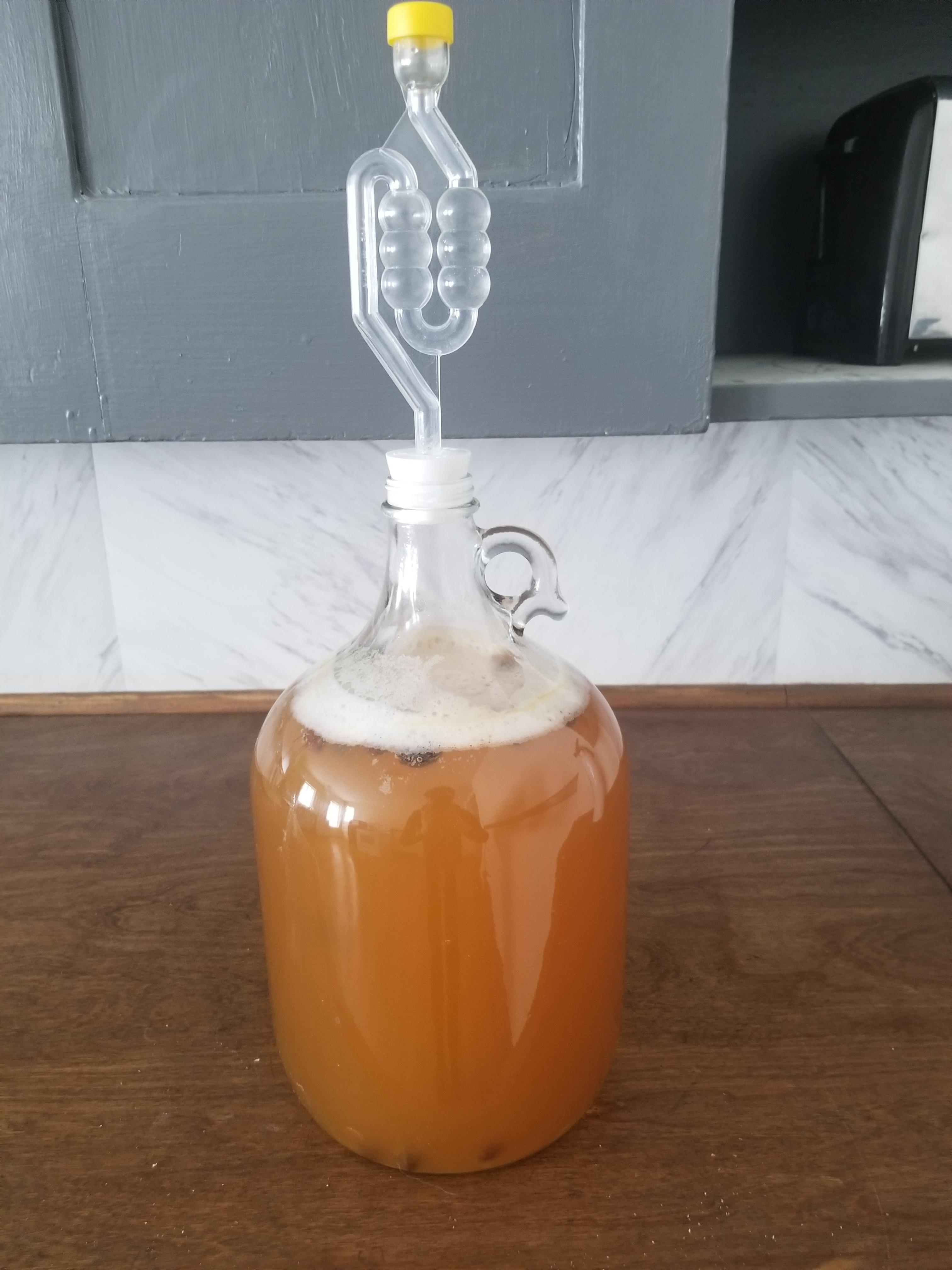 First time trying to make mead, does this look right for after about 14