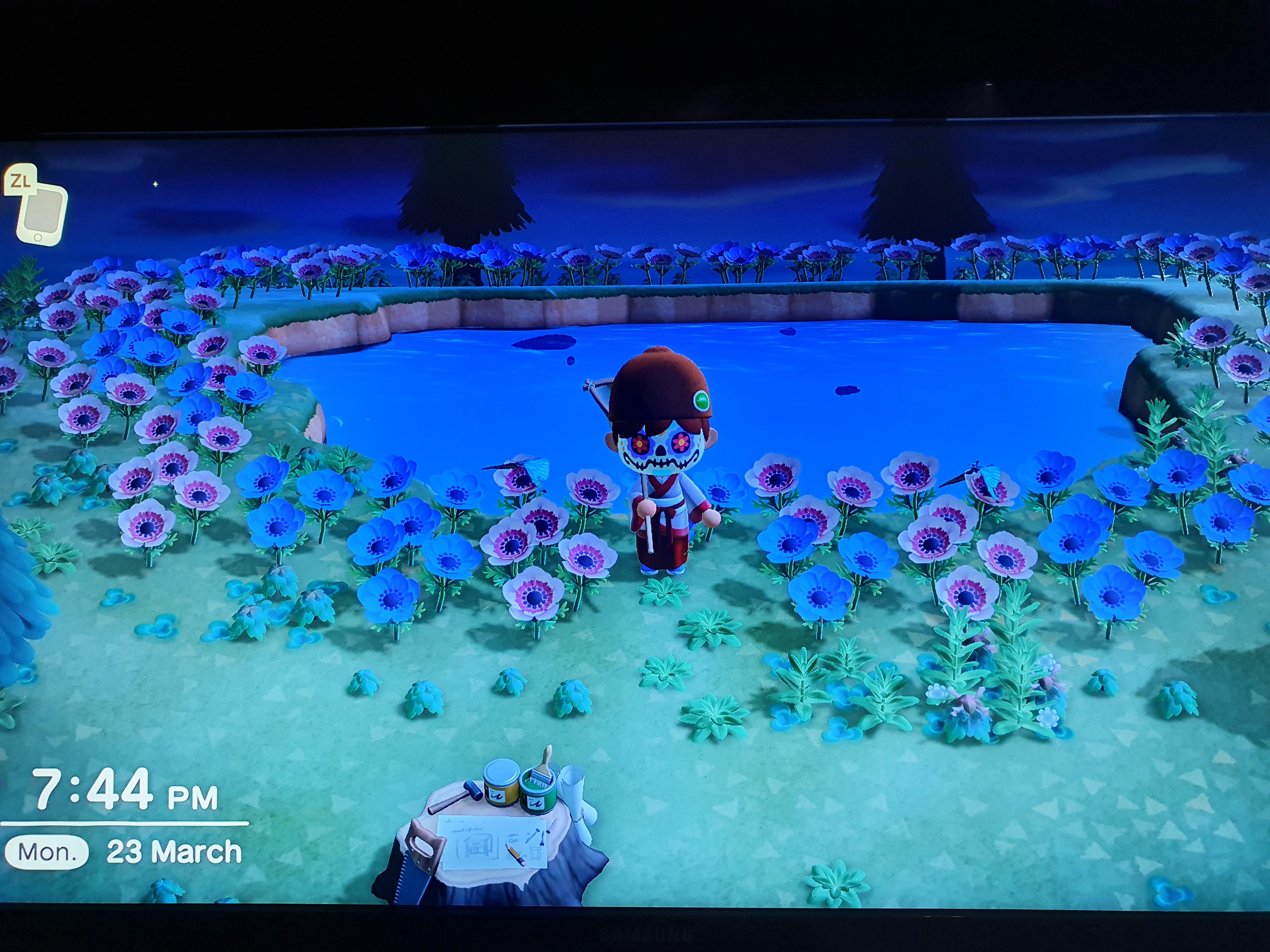 I found an awesome emperor butterfly island in New Horizons r