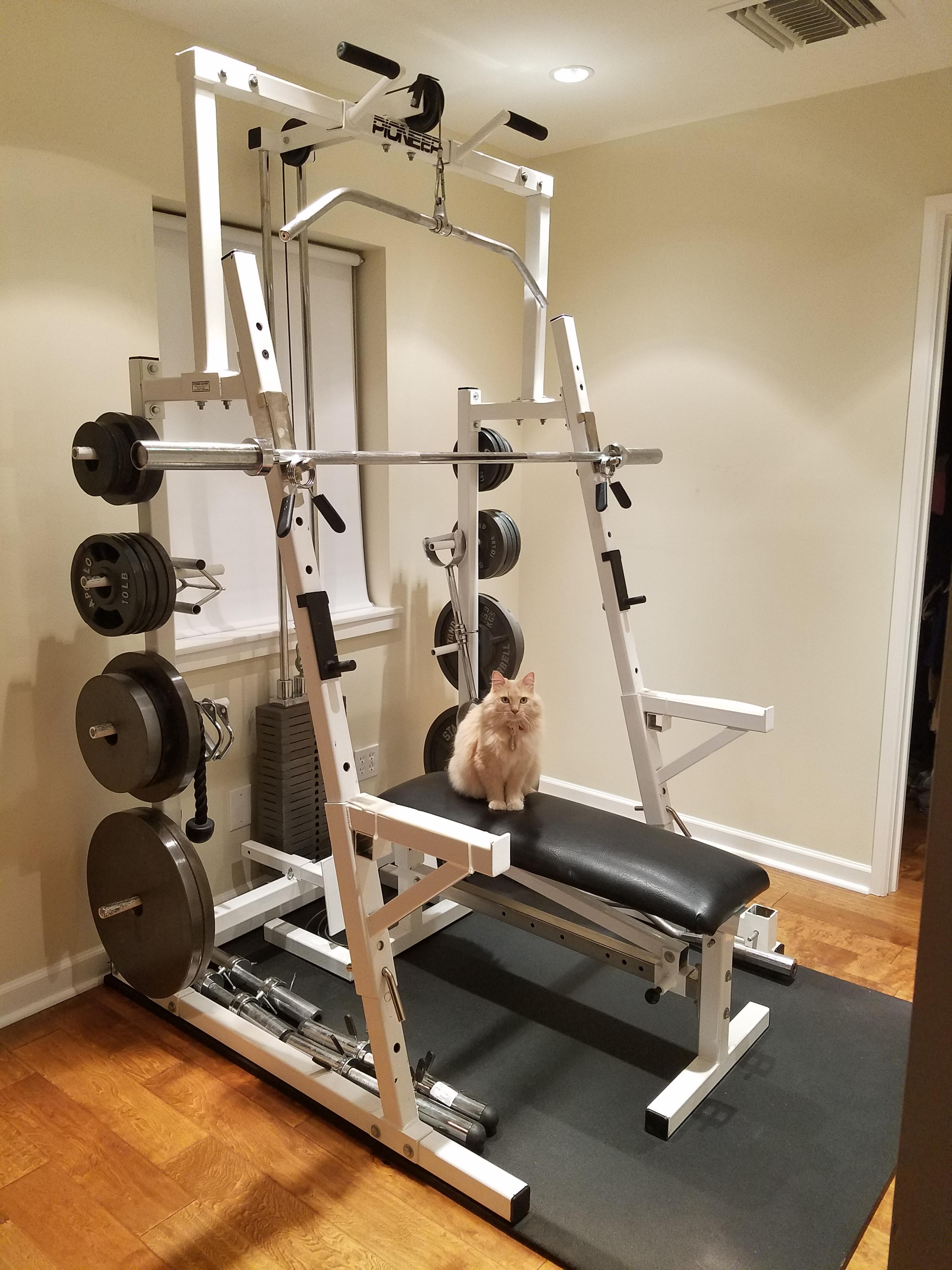 does fitness have squat racks reddit Lauralee Heath