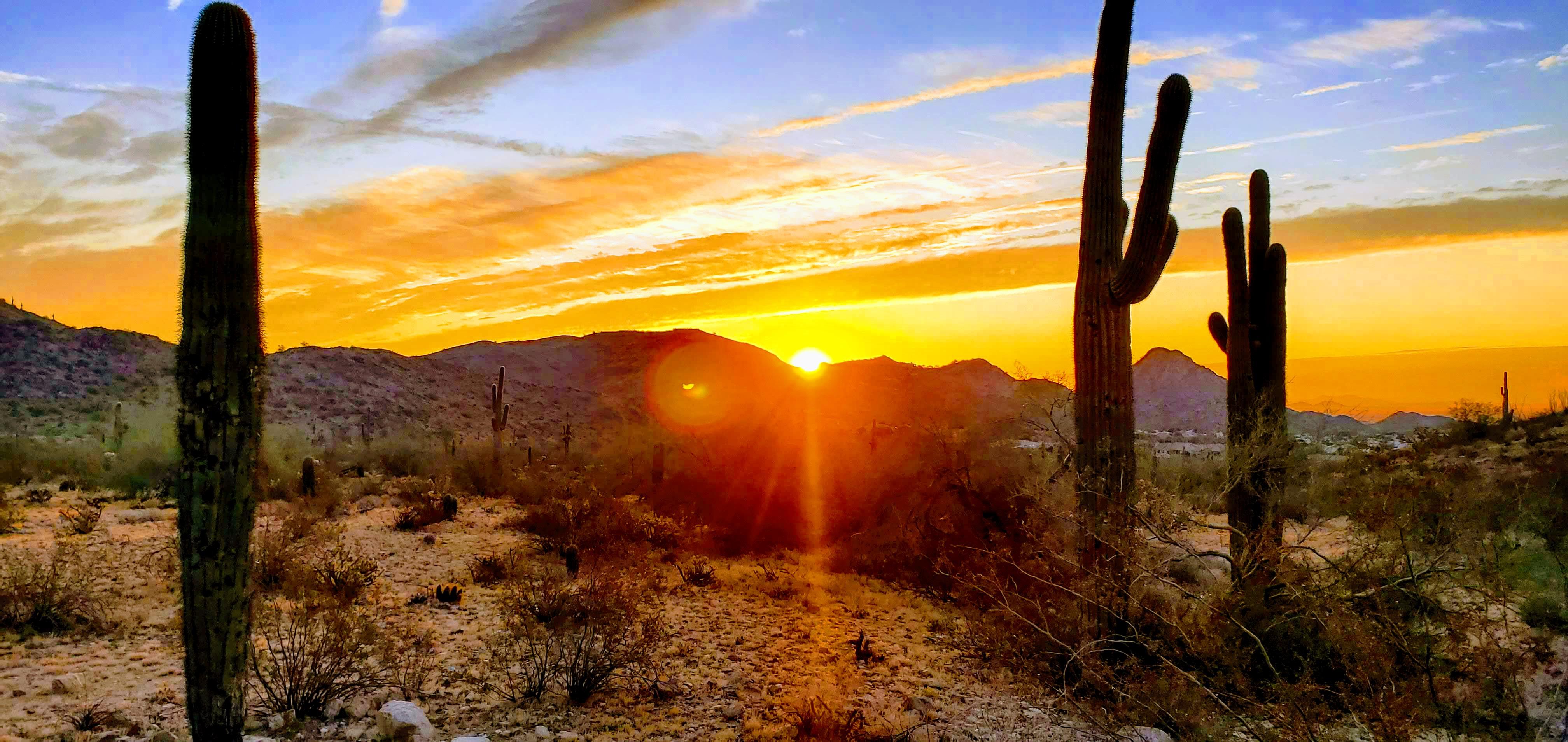 South Mountain Preserve Telegraph Pass in the morning r/phoenix