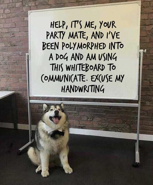 "so how are we going to HEY DON'T PET ME!" r/dndmemes