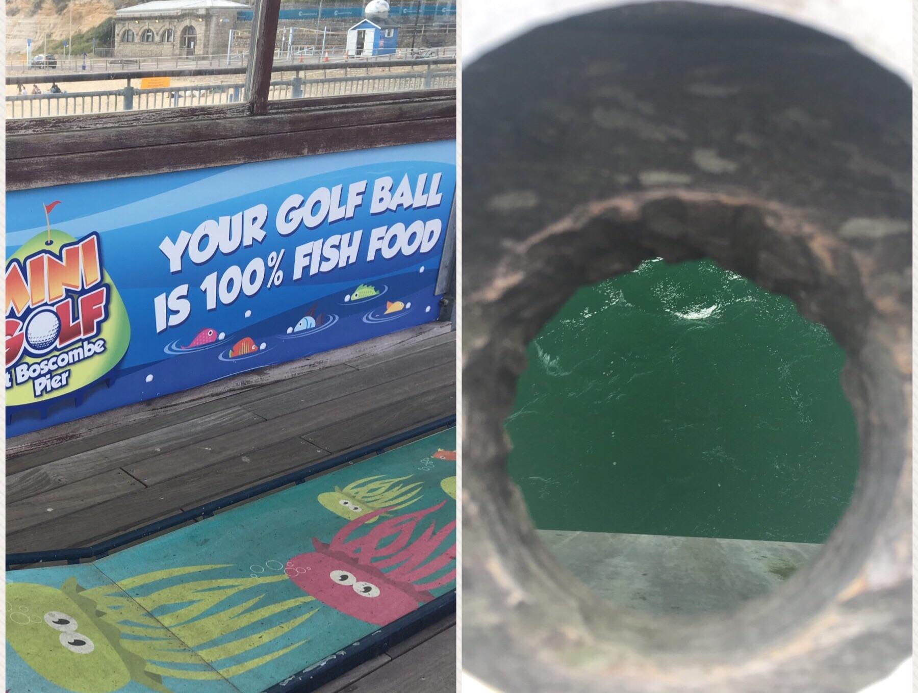 Reddit Golf balls at the minigolf on this pier are biodegradable and