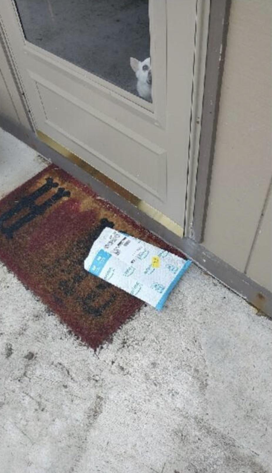 The picture that the Amazon delivery person took to confirm our package