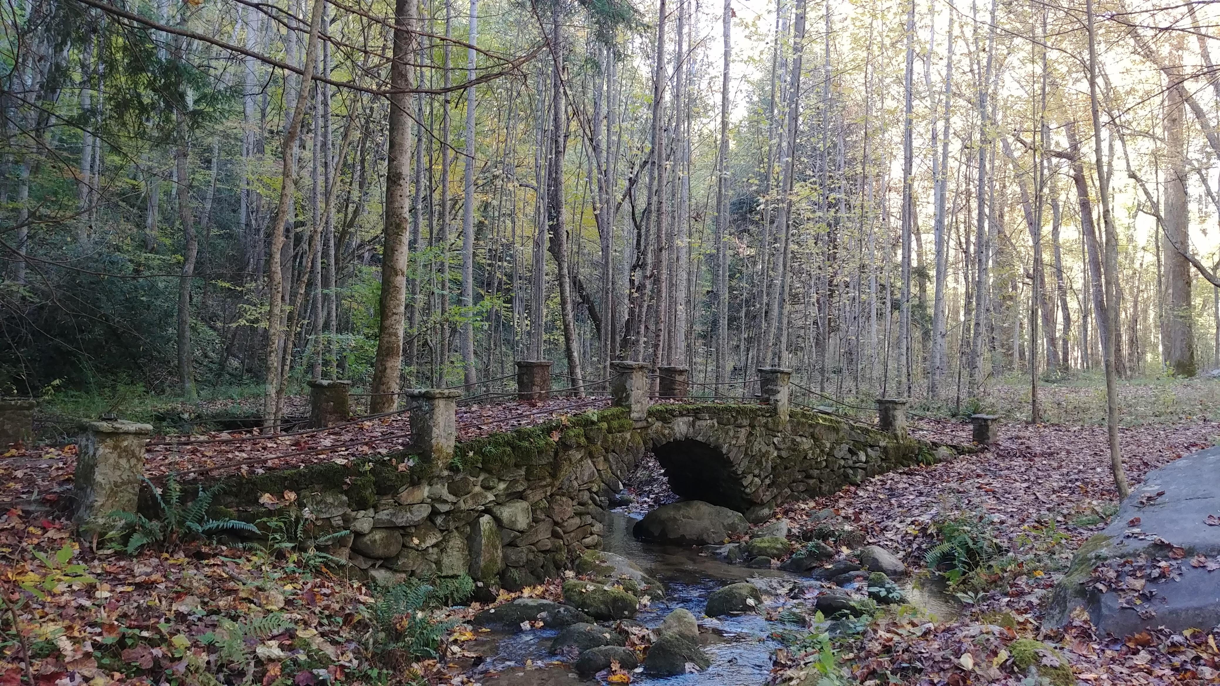 The "troll bridge" off an unmarked trail in the Great Smoky Mountains