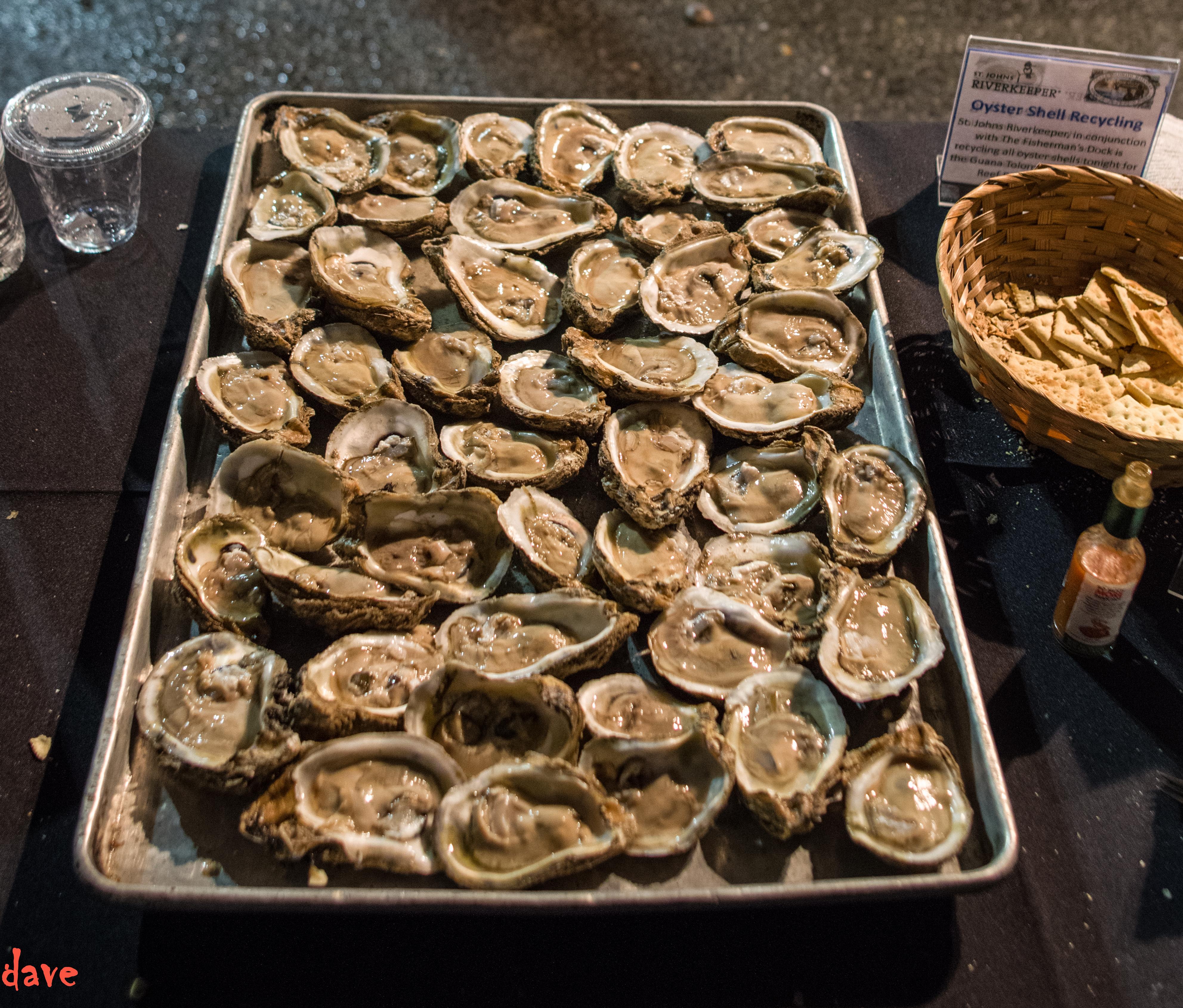 River Keepers Oyster roast at the Garden Club in Jacskonville 