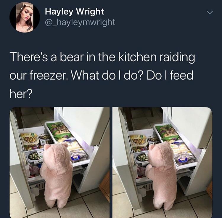 Call Animal control asap r/WhitePeopleTwitter