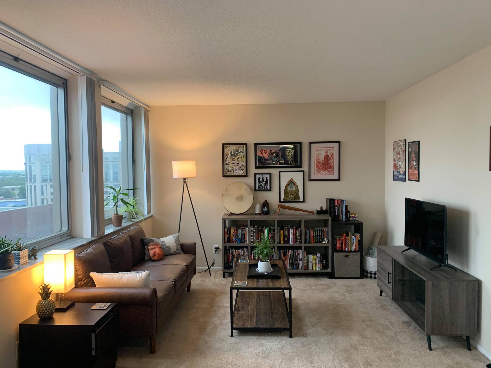 Really happy with how my little living room turned out r/malelivingspace