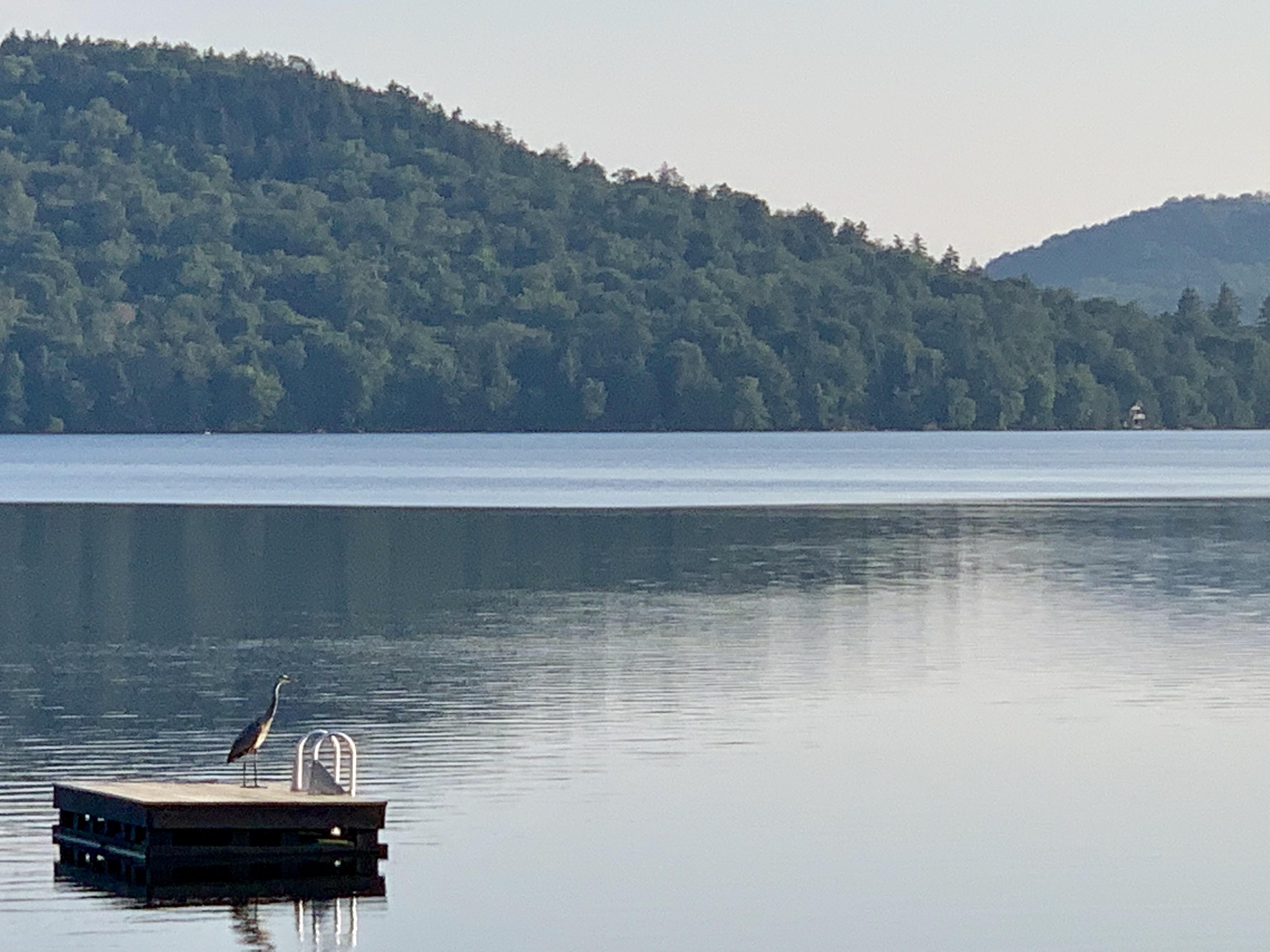 Little Moose, N.Y. A.L.C. r/Adirondacks