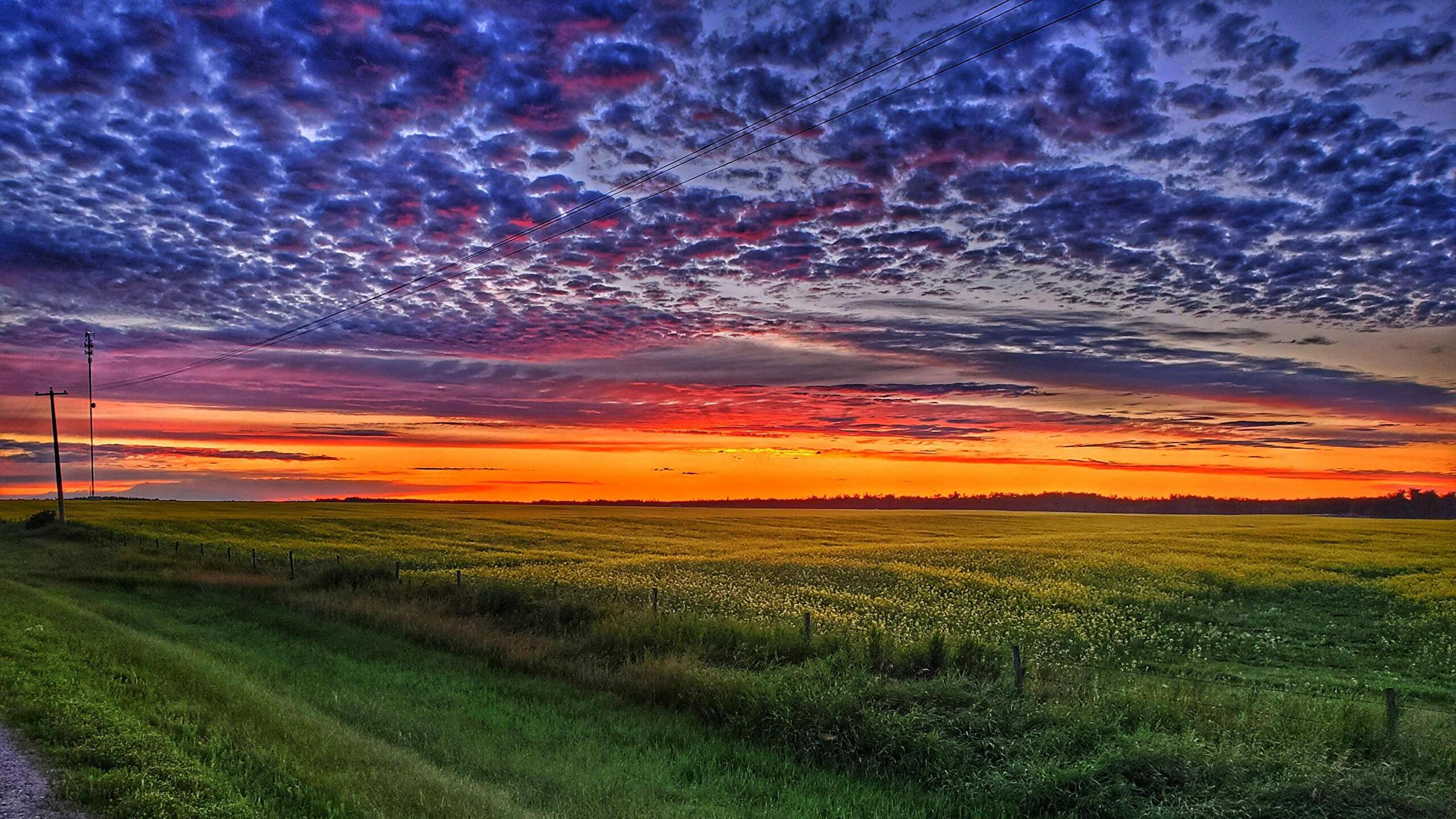 Sunset Alberta Canada [2560 x 1440] r/wallpaper