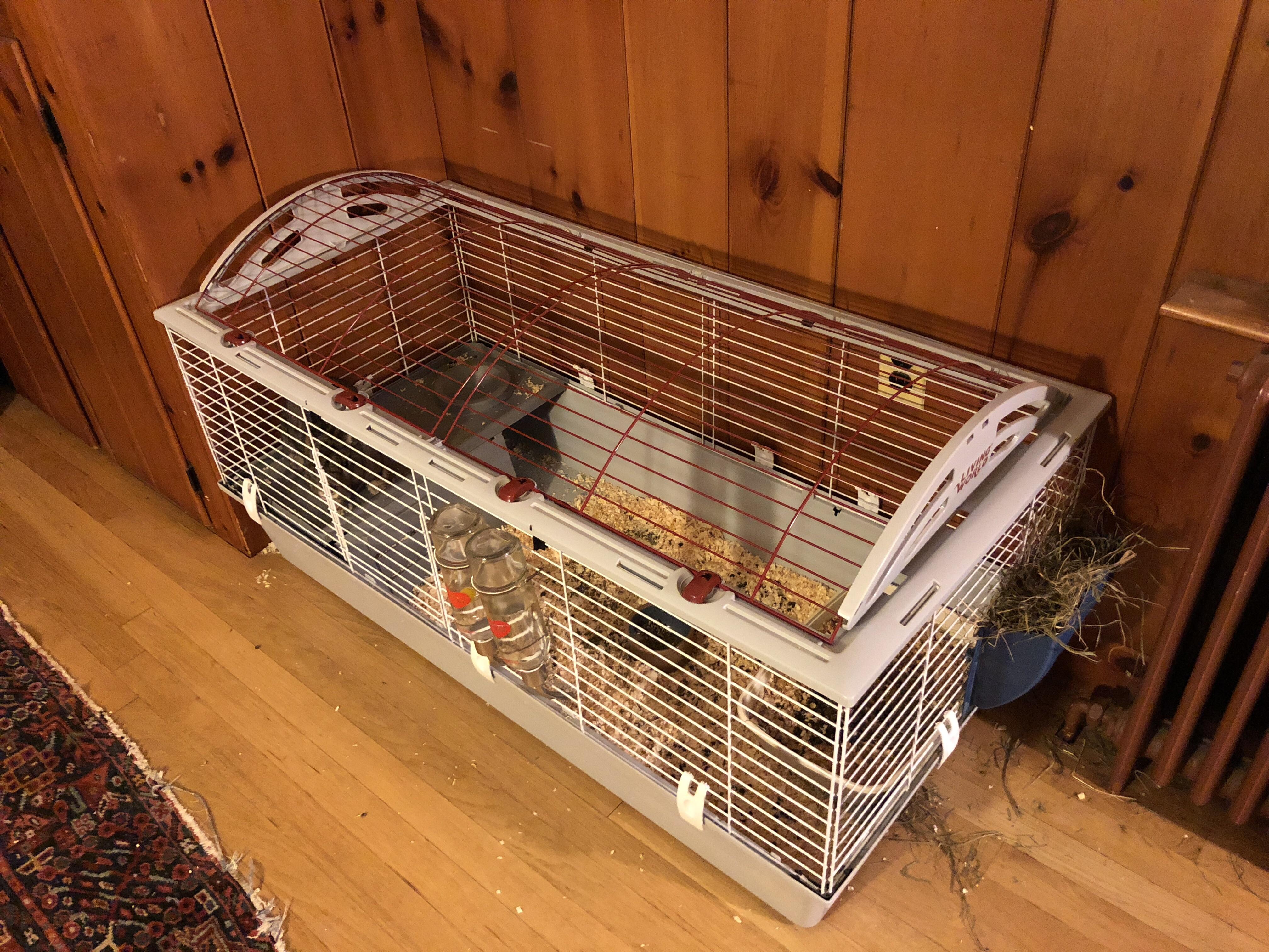 the way my bunny’s cage fits into this corner r/Satisfyingasfuck