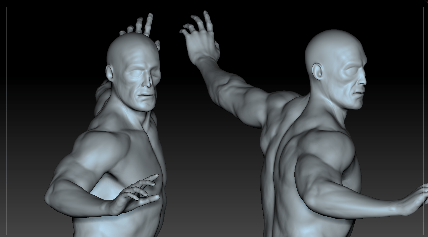 Anatomy study WIP ZBrush