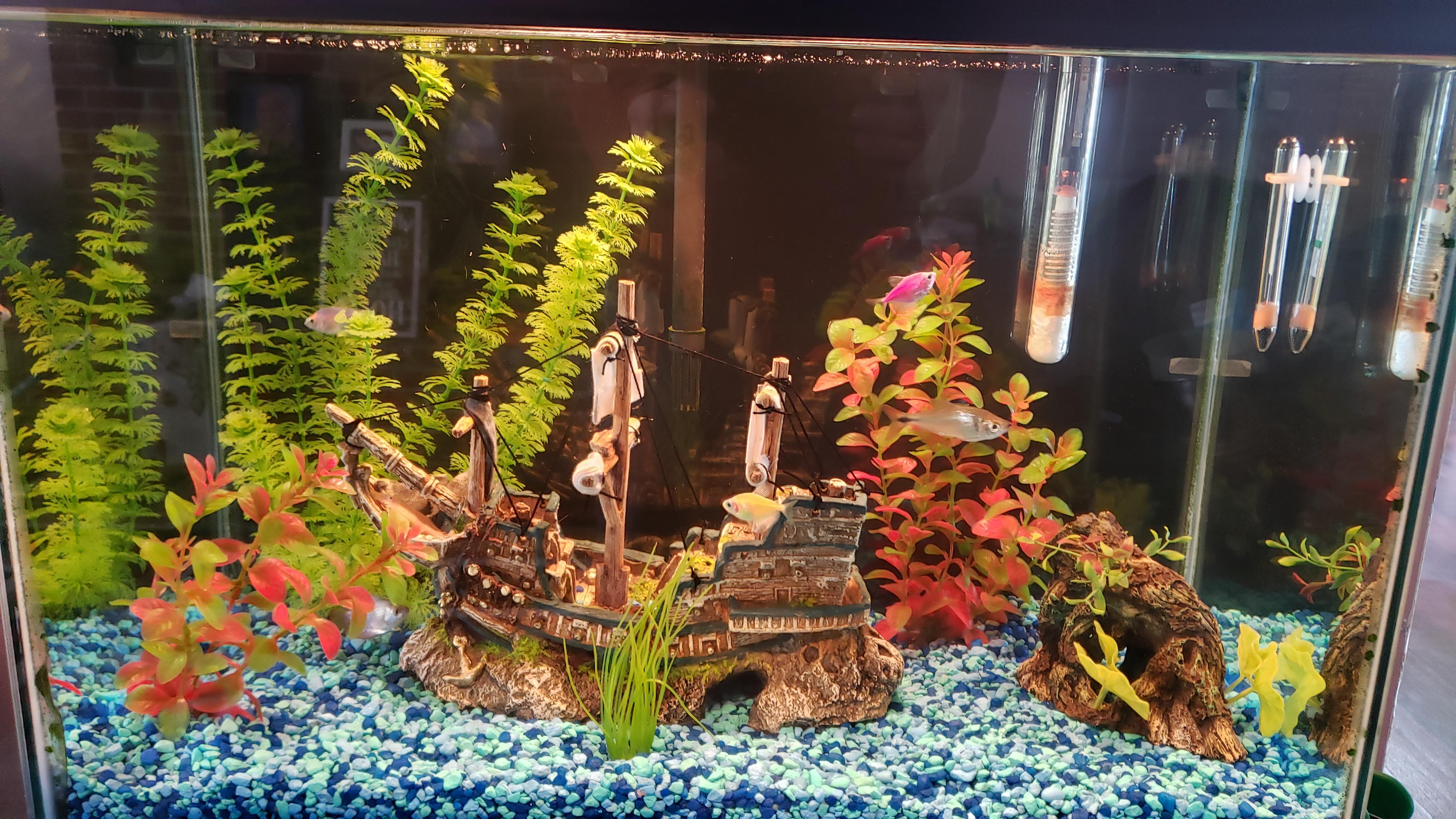 I am new to the world of aquariums. I would like to start replacing
