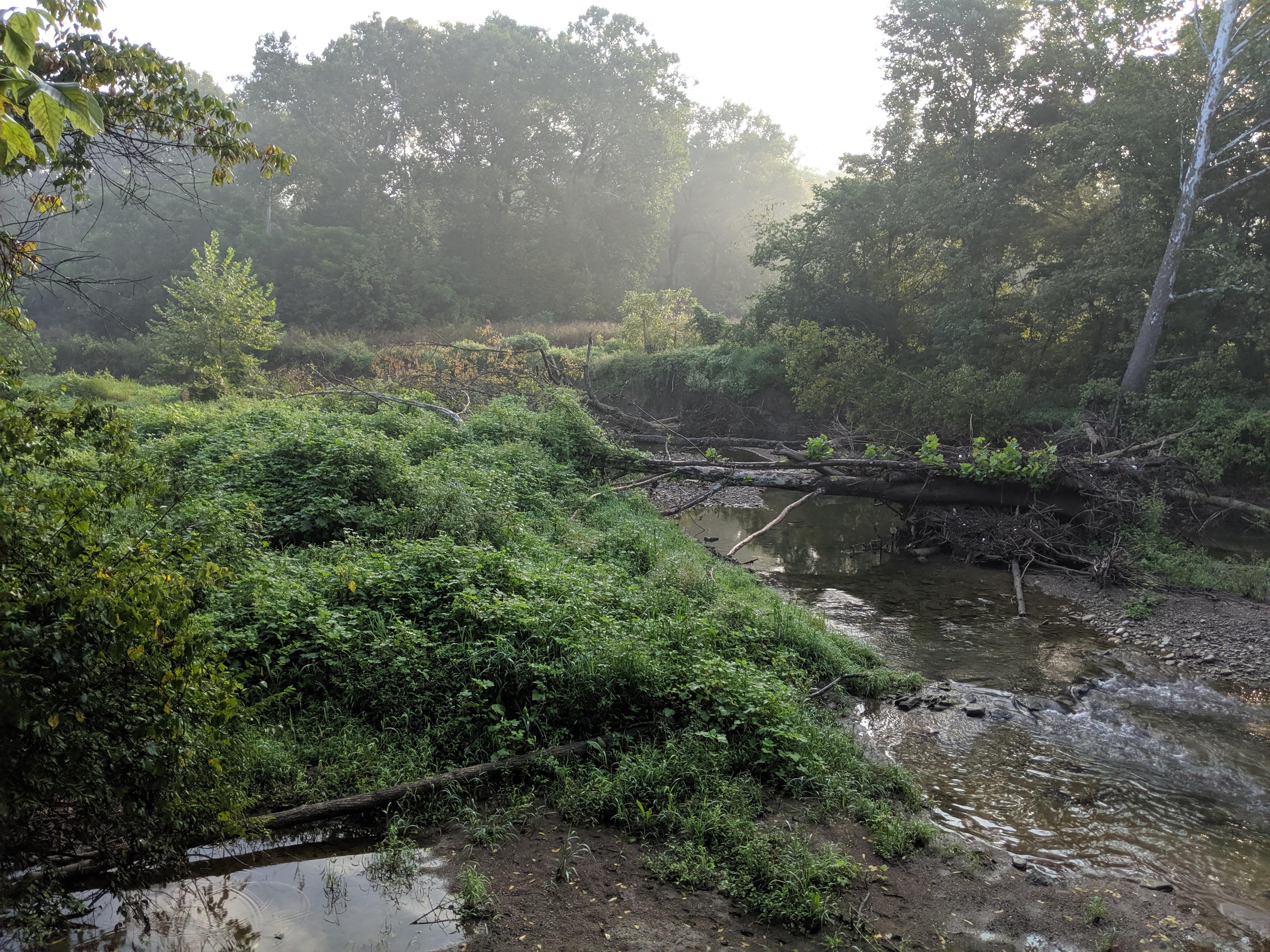Carter Park, Kings Mills r/HikeOhio