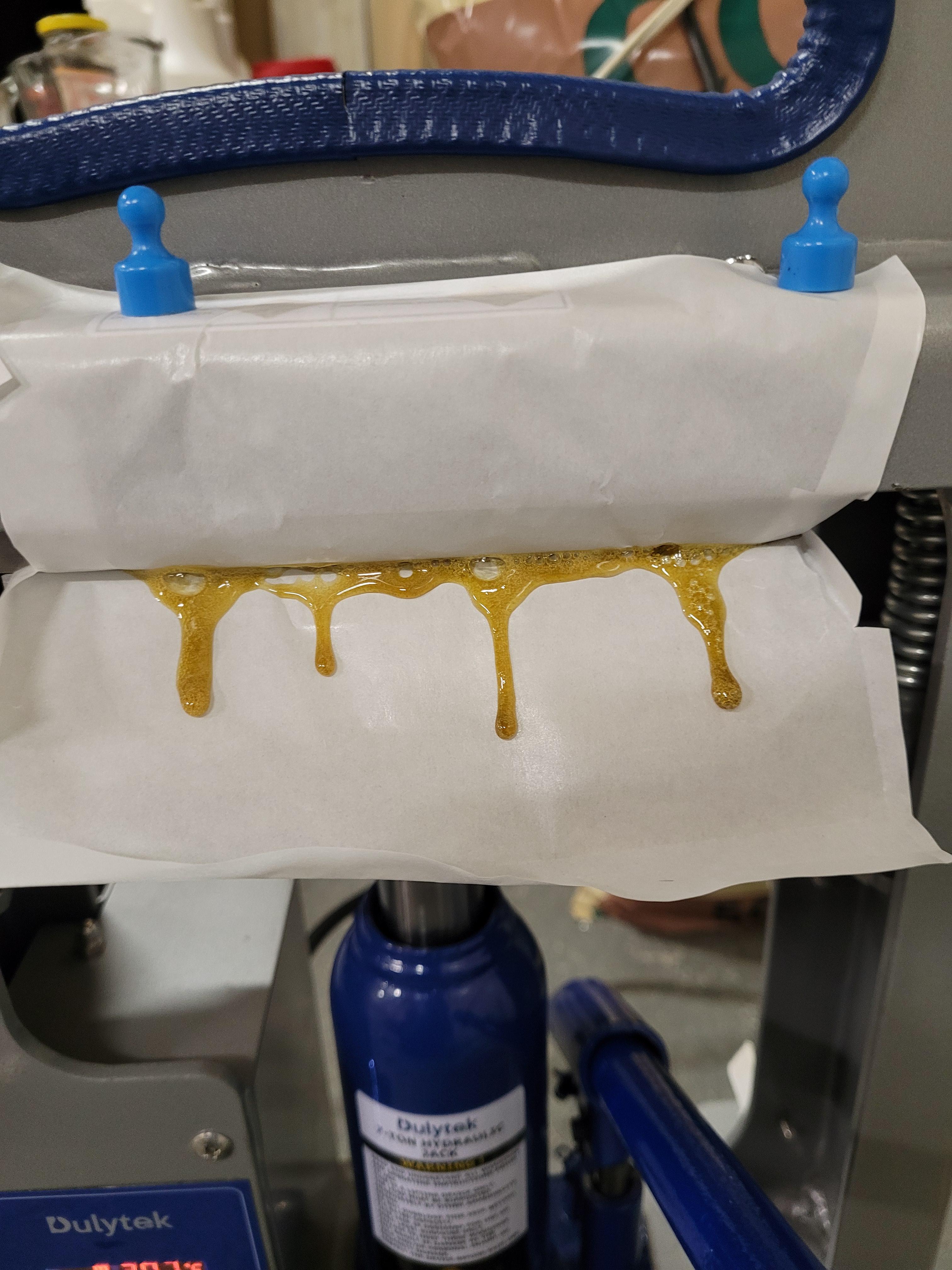 2nd time pressing. This time was 7g x 2, 120 micron bags of Gooberry