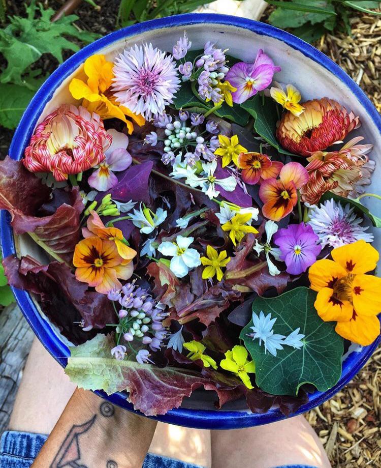 🔥 This bowl of edible flowers fresh from the garden 🔥 r