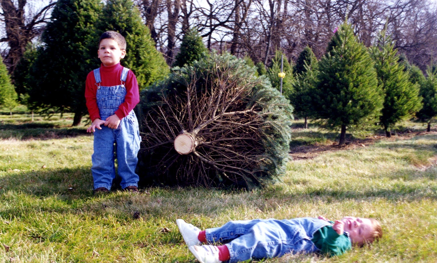 O Christmas tree. A picture I took trying to get the perfect Christmas