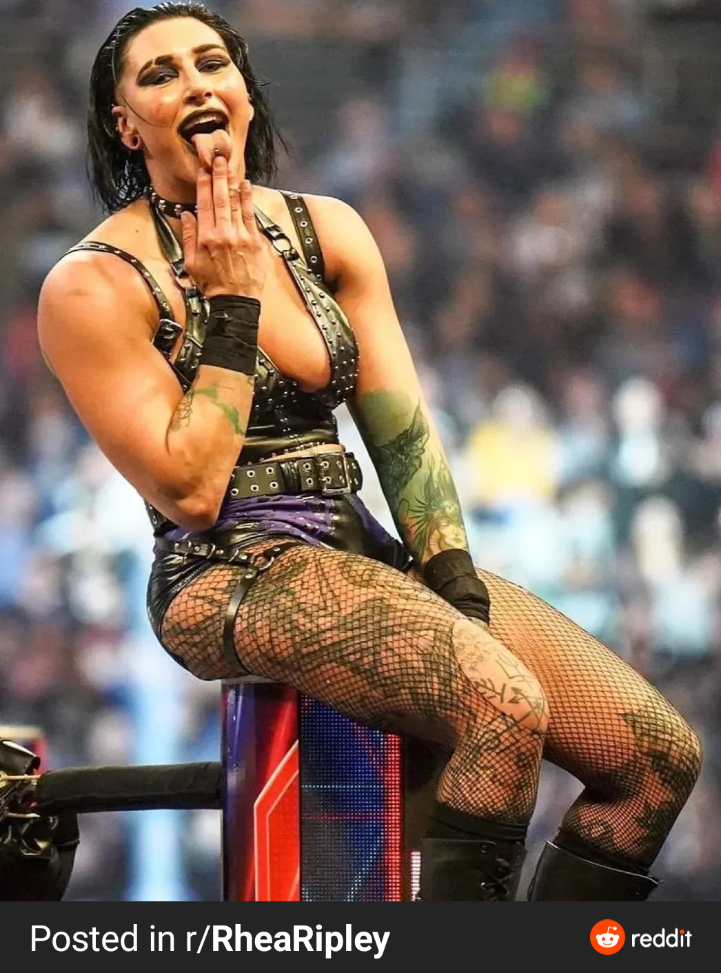 Anyone wanna pick Rhea Ripley up and pound her pussy DM : WrestleWankRevamped