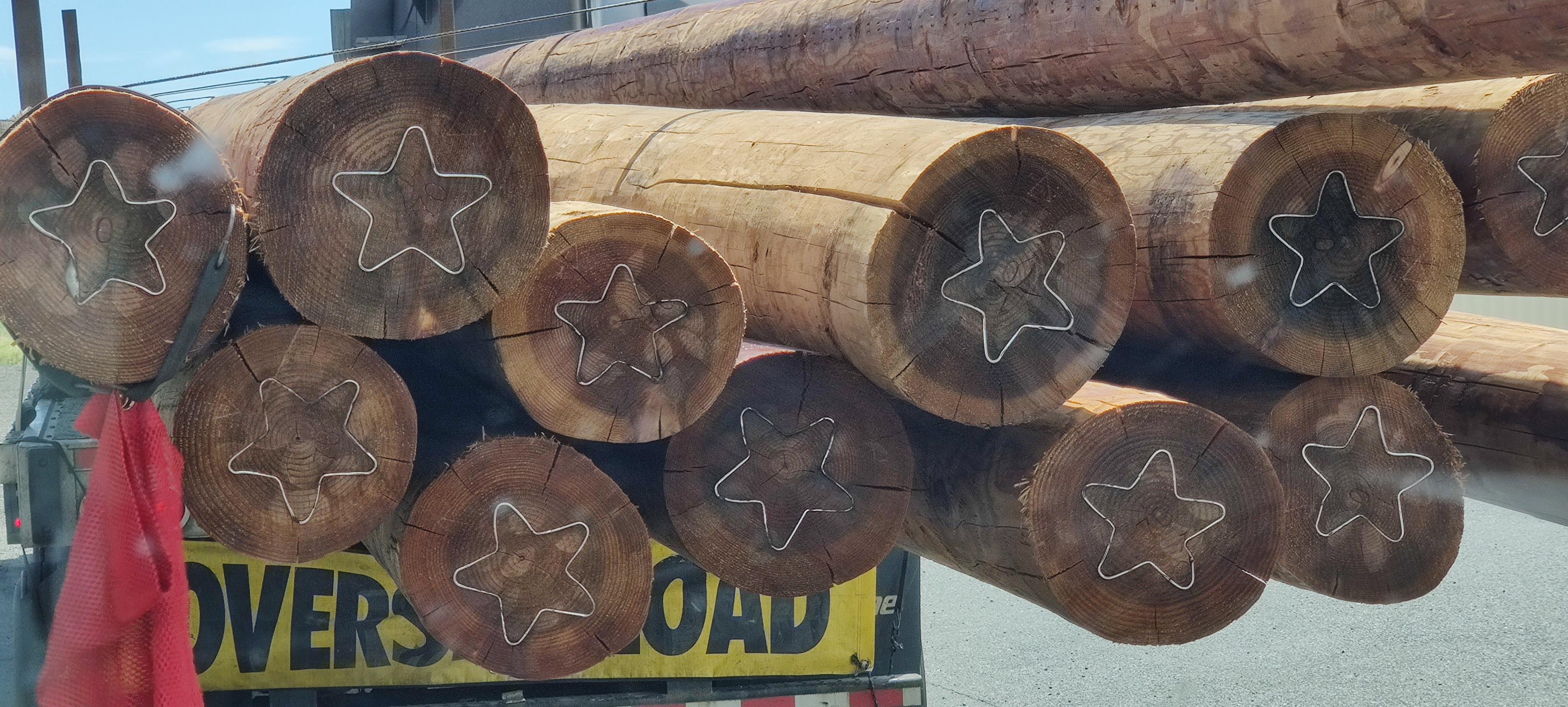 What are the metal stars? Embedded in wooden posts on a logging style