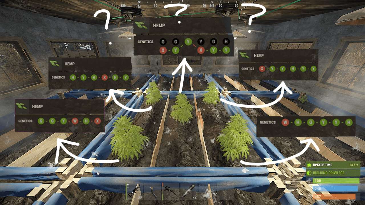 I've been trying to get a good clone and I guess I'm just not