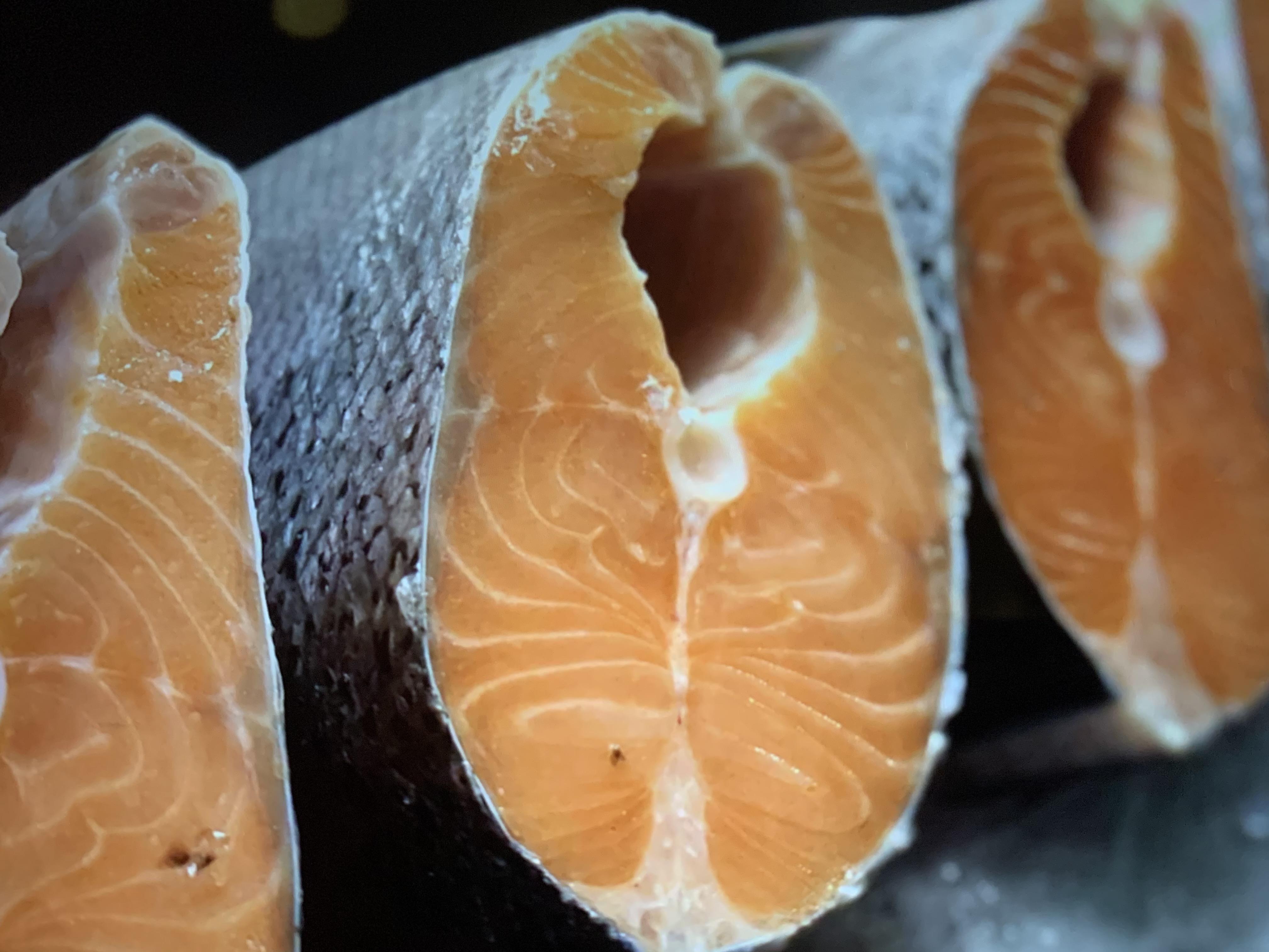 Salmon said this is where I should post this picture