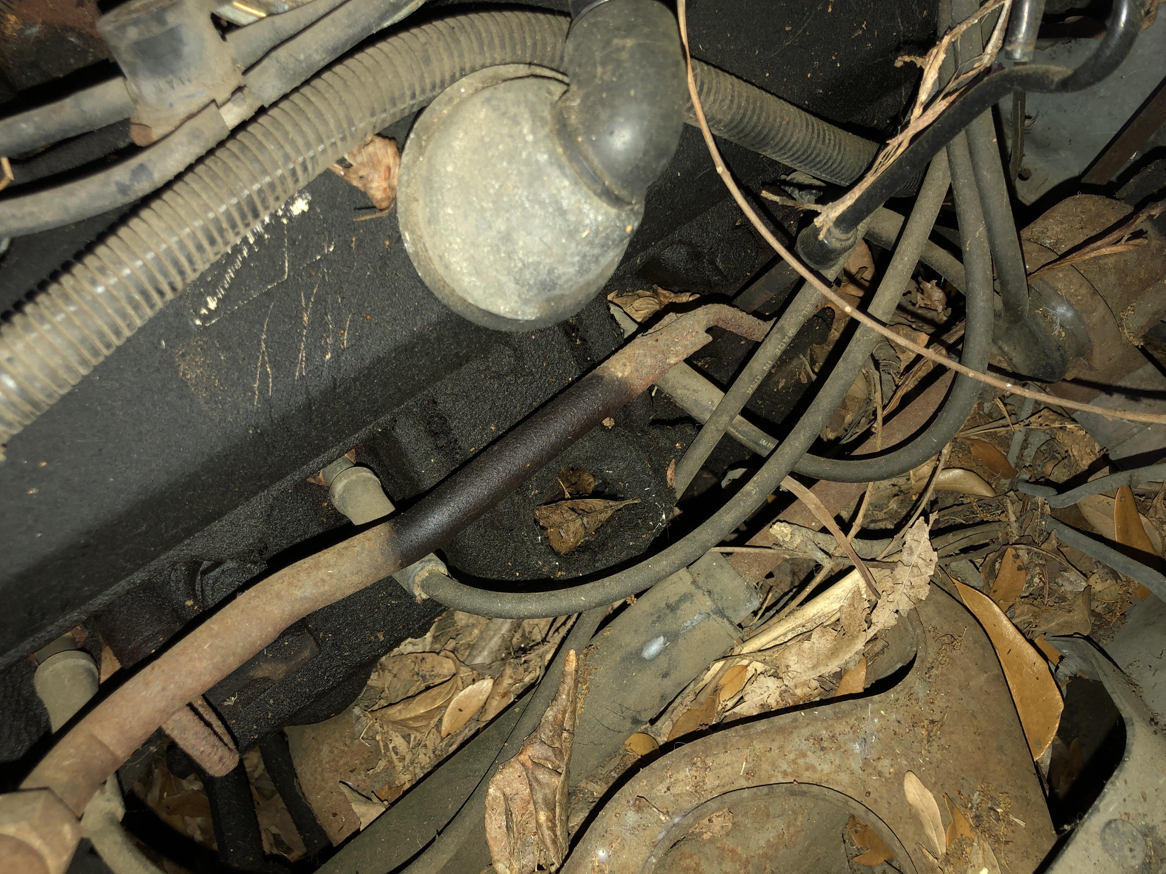 What exactly am I looking at here (Oldsmobile 307 V8, details in