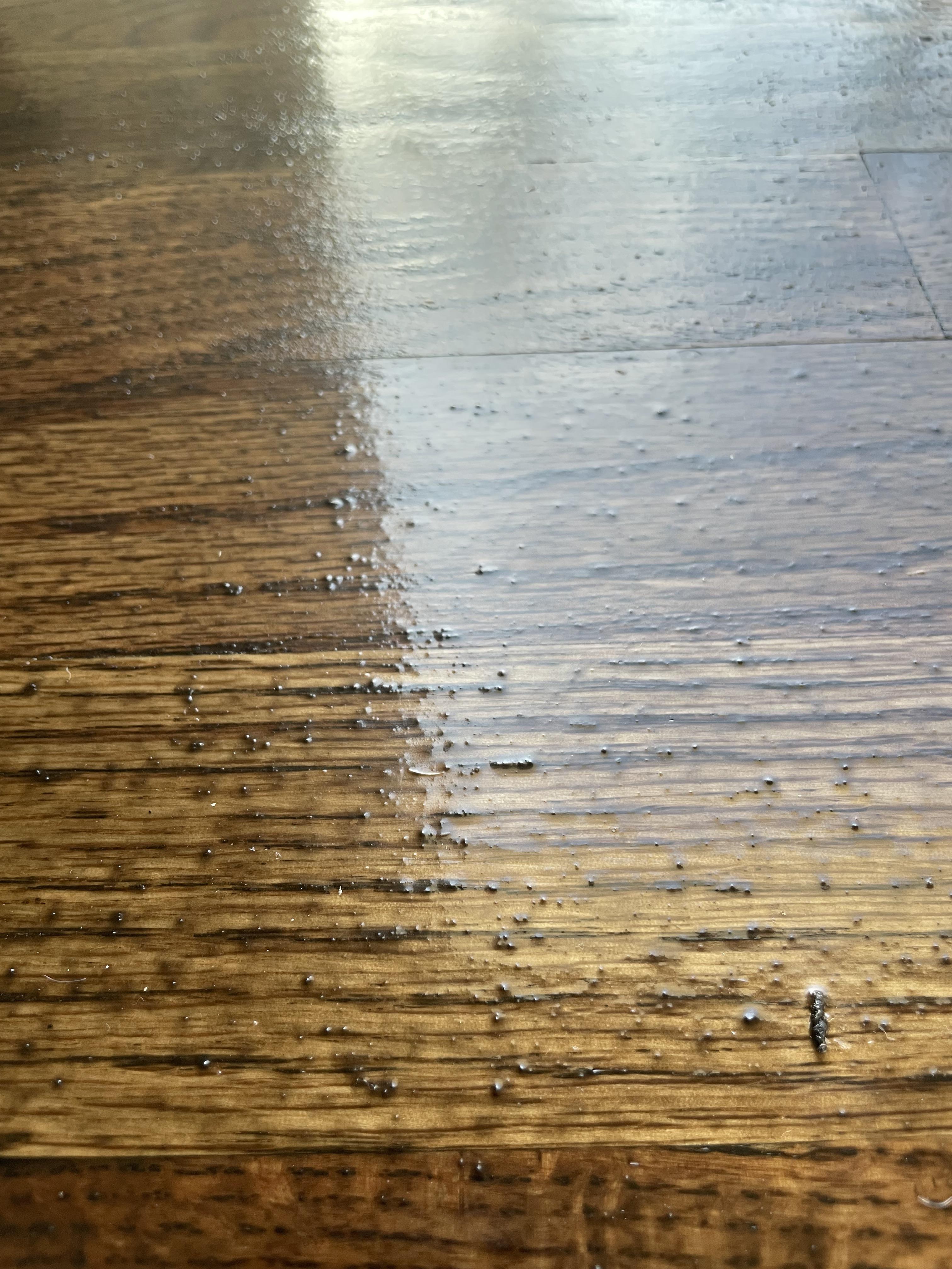 Rough dark bumps on surface of newly refinished hardwood floors? Help