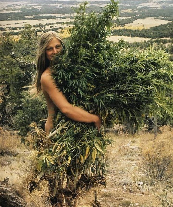 A girl with her massive bush, 1970s : pics